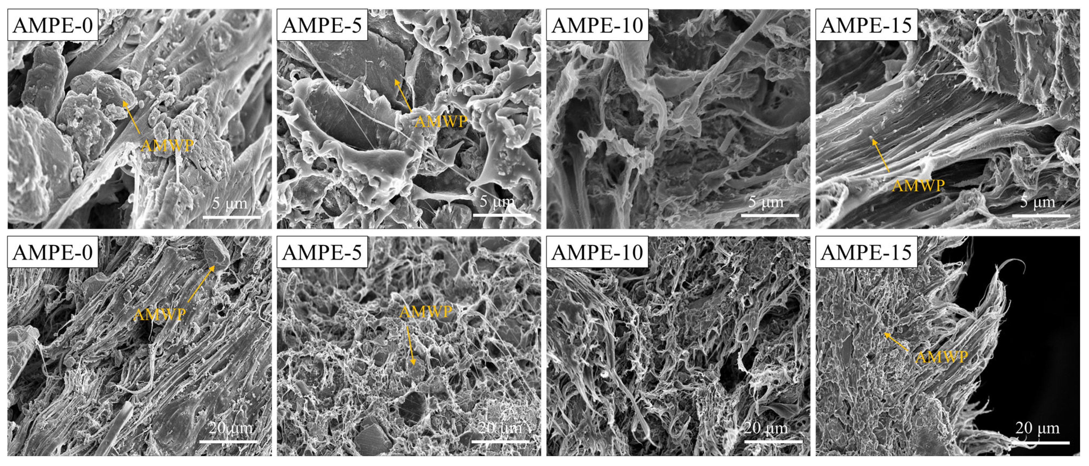 Materials 16 04036 g006