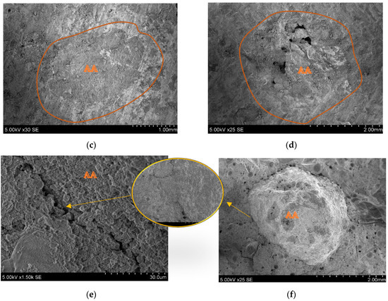 Bottom Slag Influence of Carbonated Bottom Slag Granules in 3D Concrete Printing