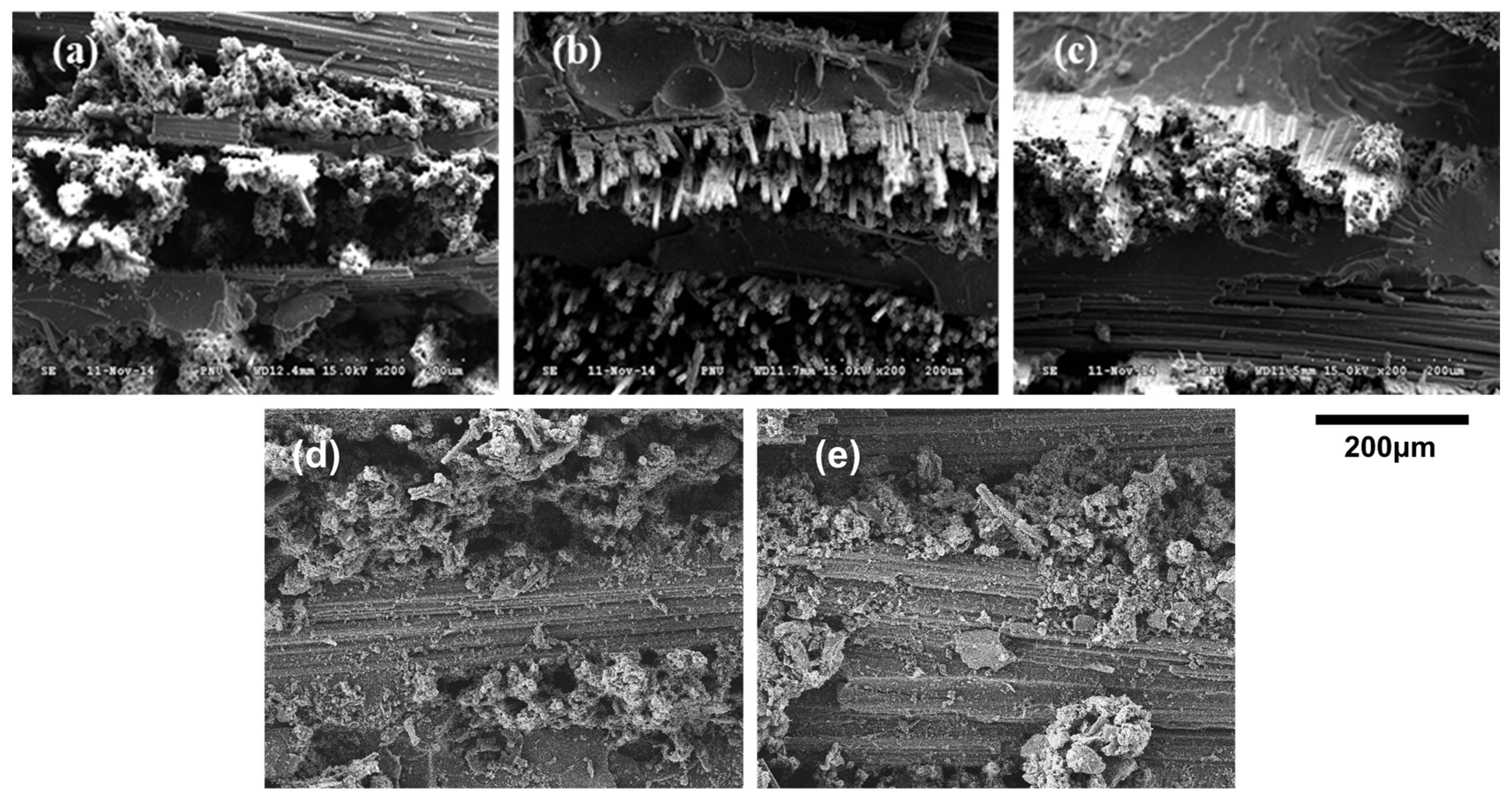 Materials 16 04048 g006