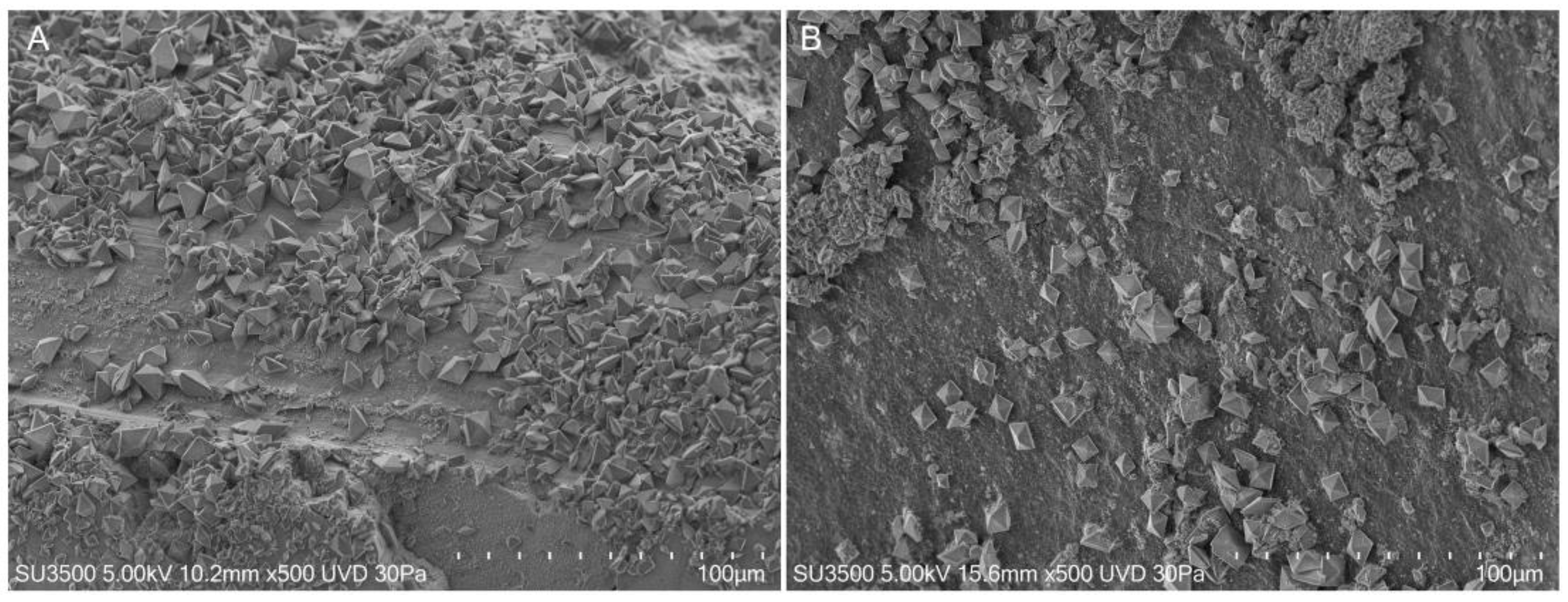 Materials 16 04049 g005 Materials 16 04049 g005