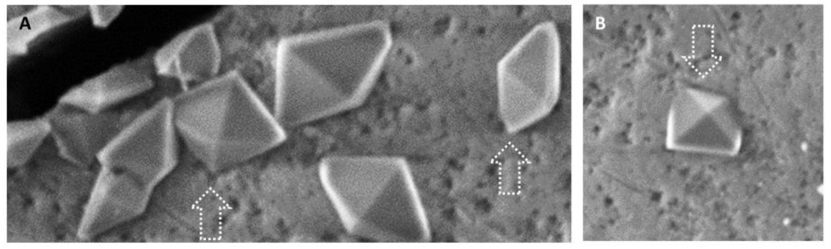 Materials 16 04049 g007 Materials 16 04049 g007