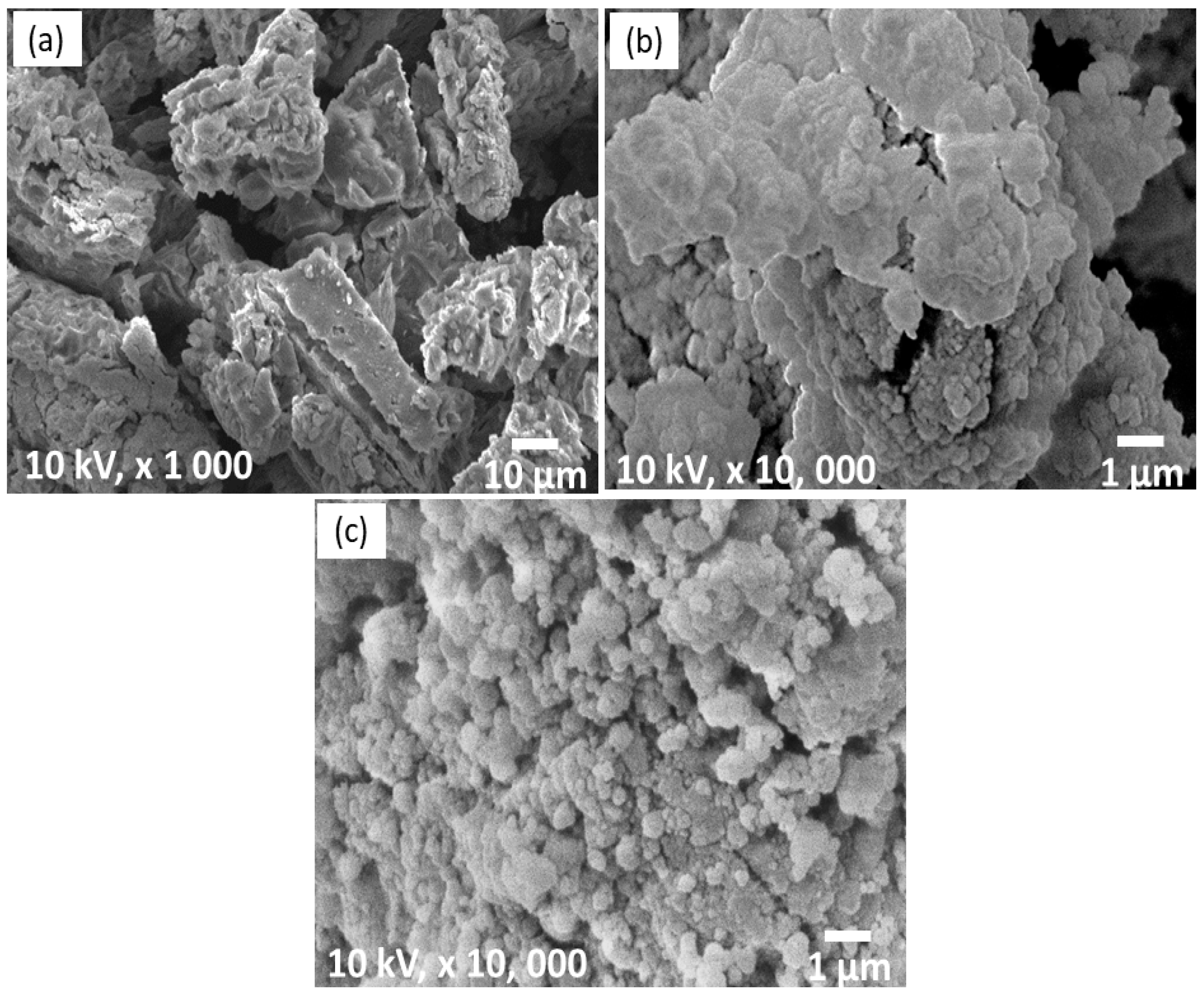 Materials 16 04056 g006