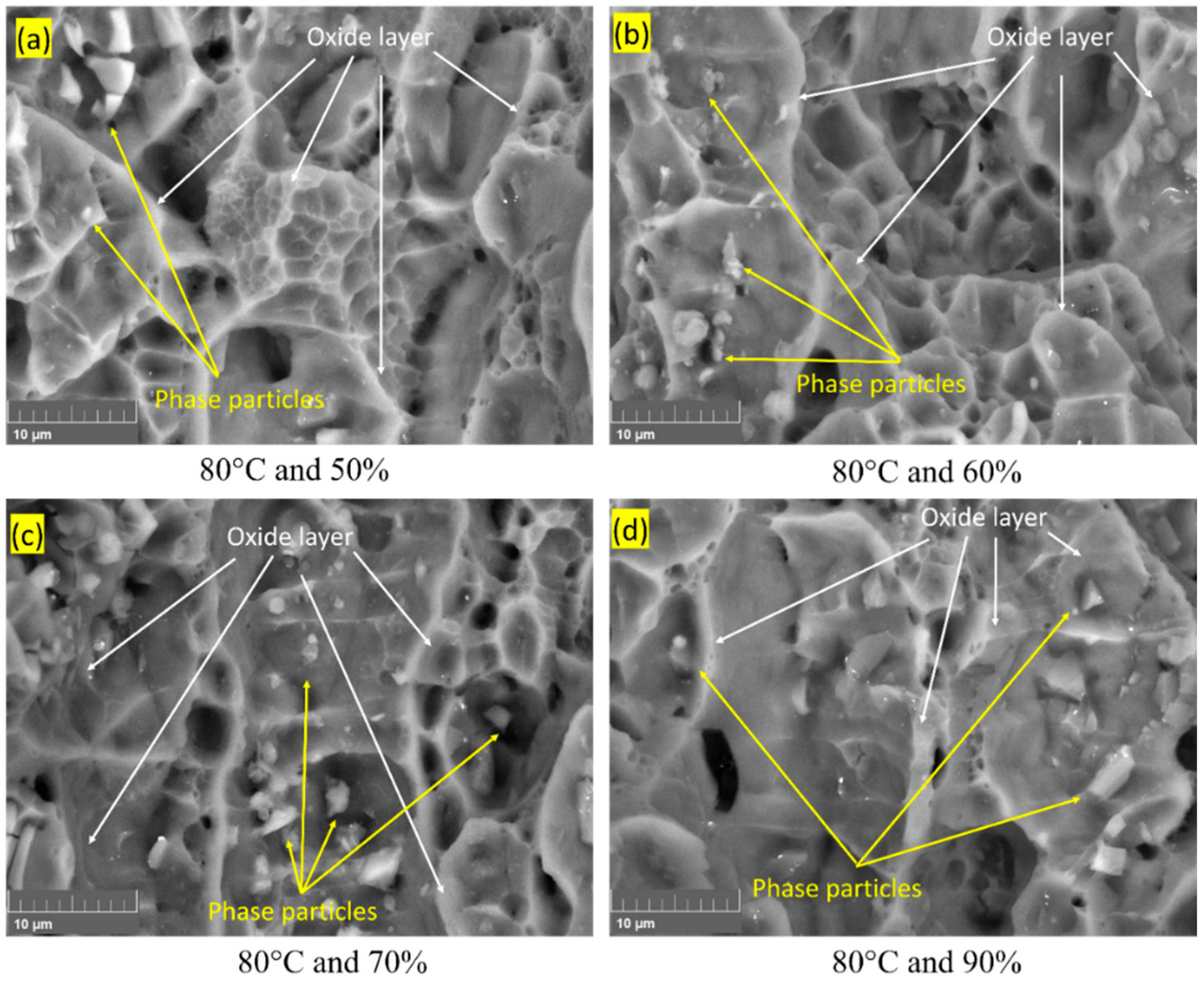 Materials 16 04066 g005 Materials 16 04066 g005