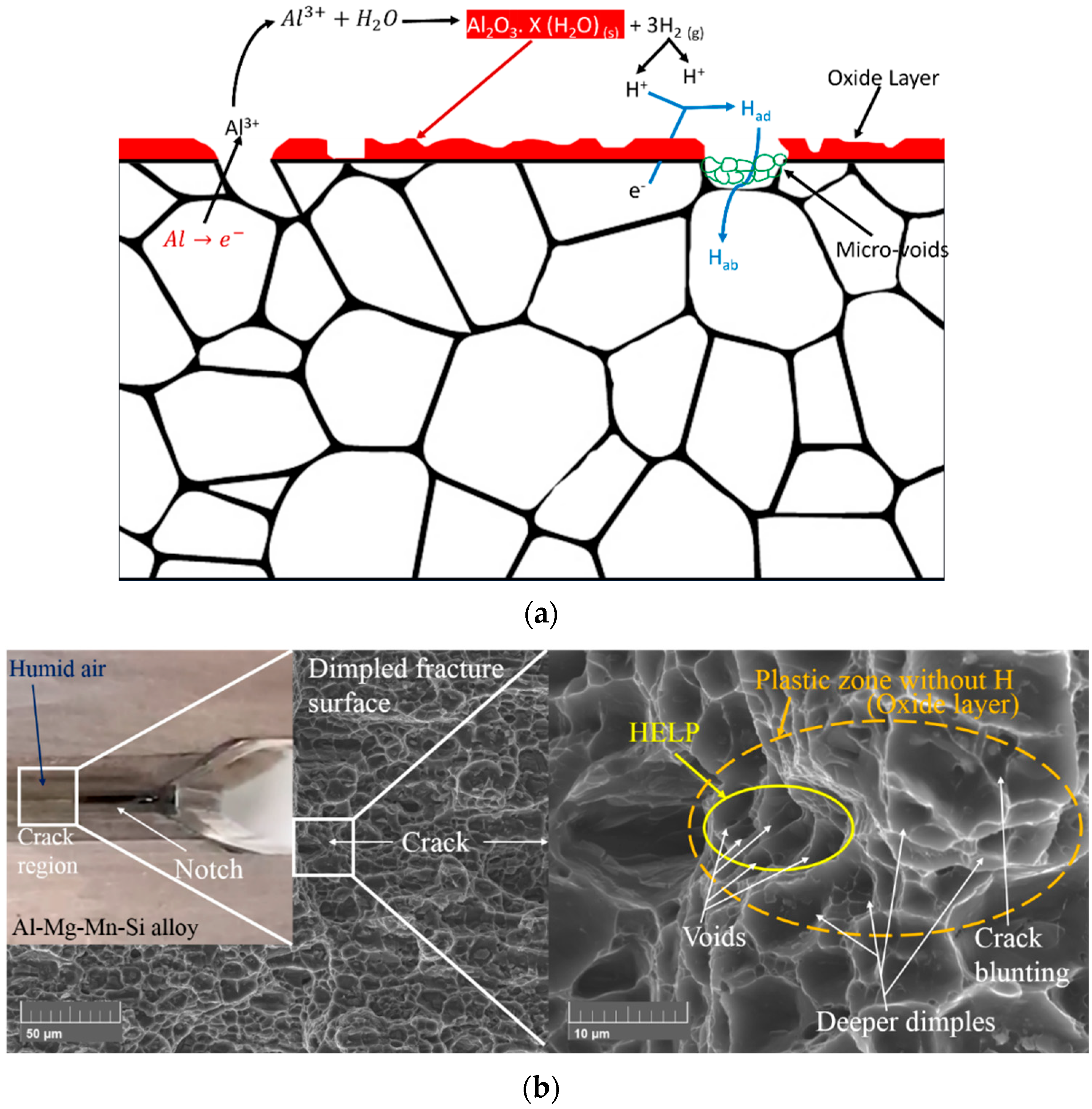 Materials 16 04066 g010 Materials 16 04066 g010
