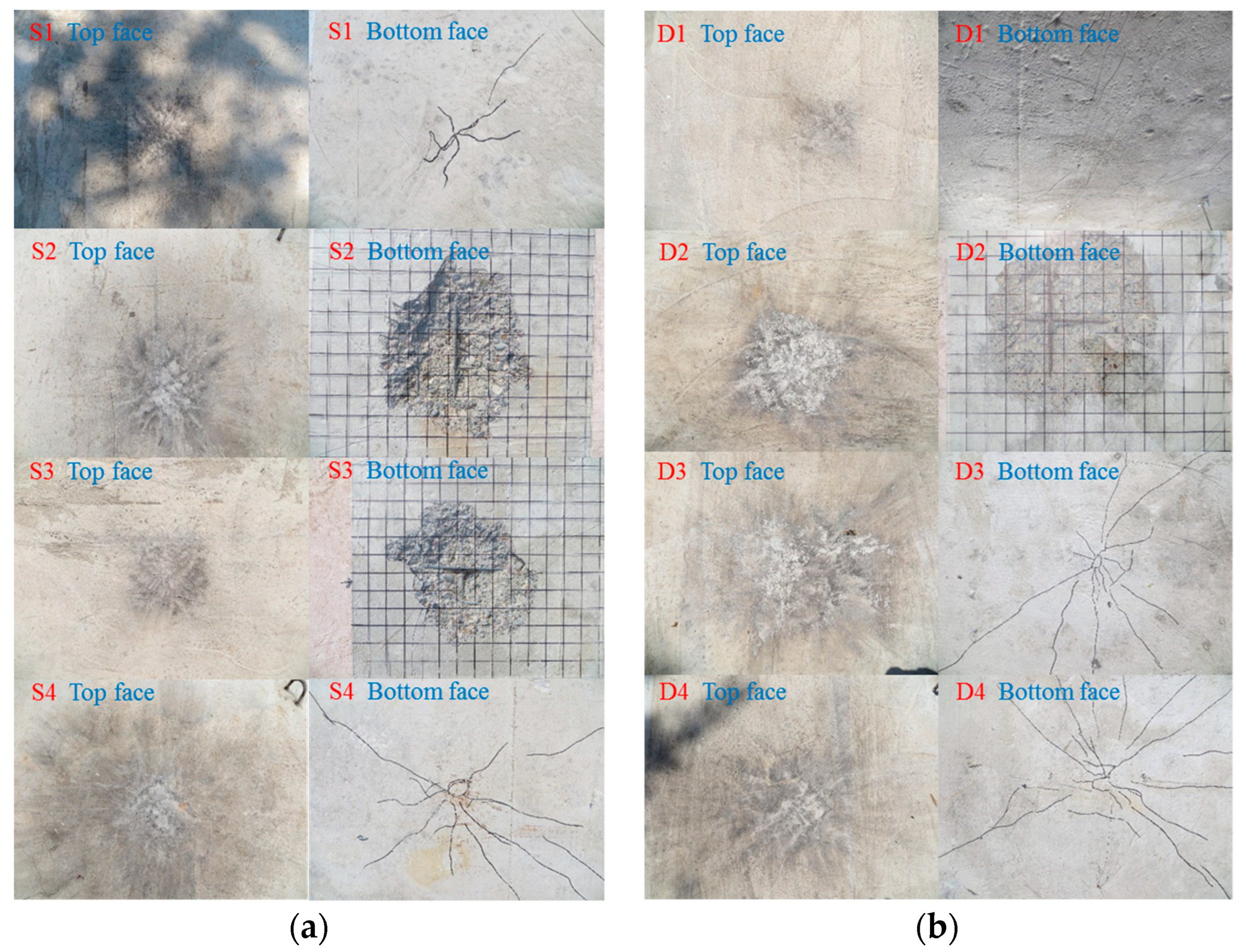 Materials 16 04068 g007
