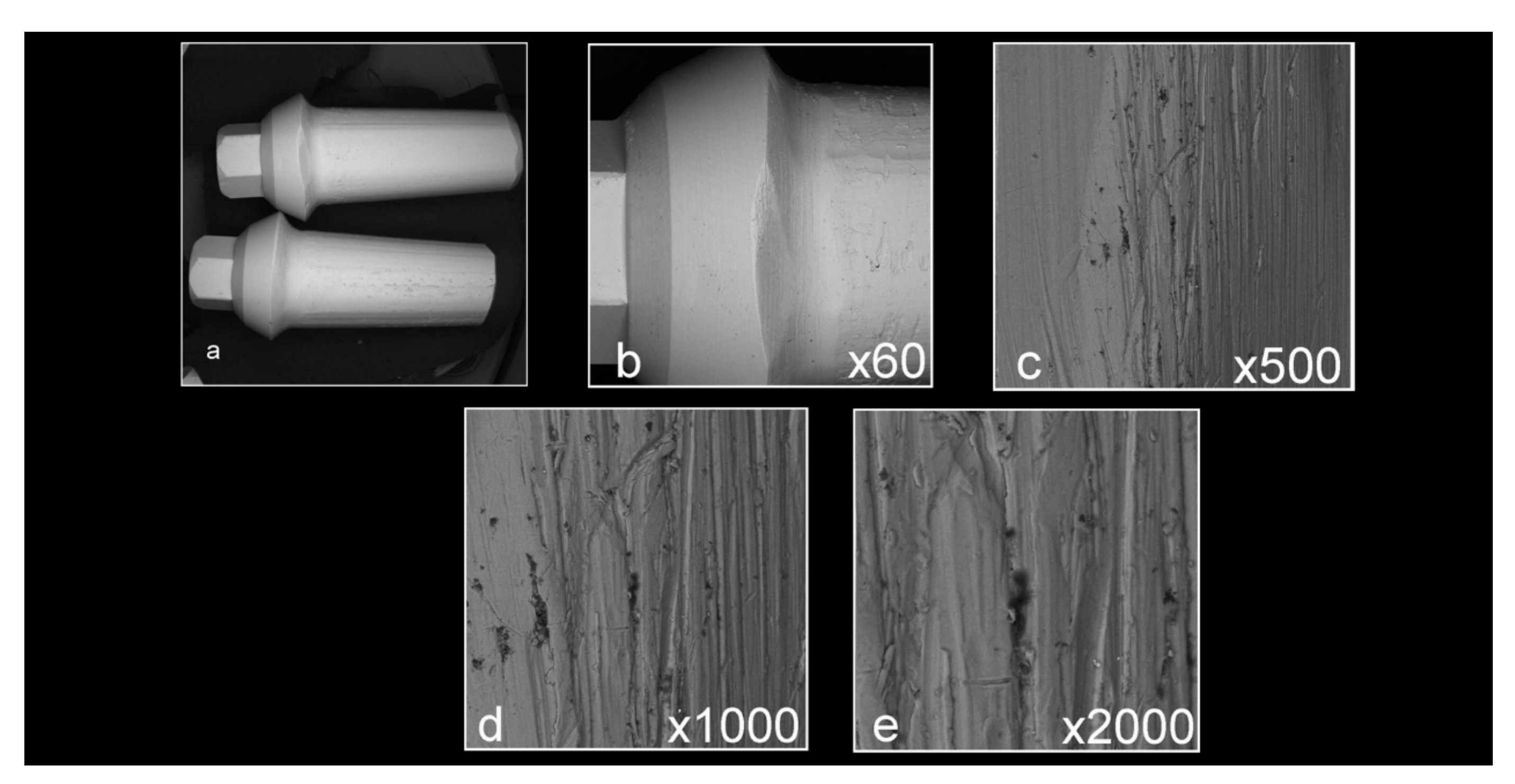 Materials 16 04080 g004