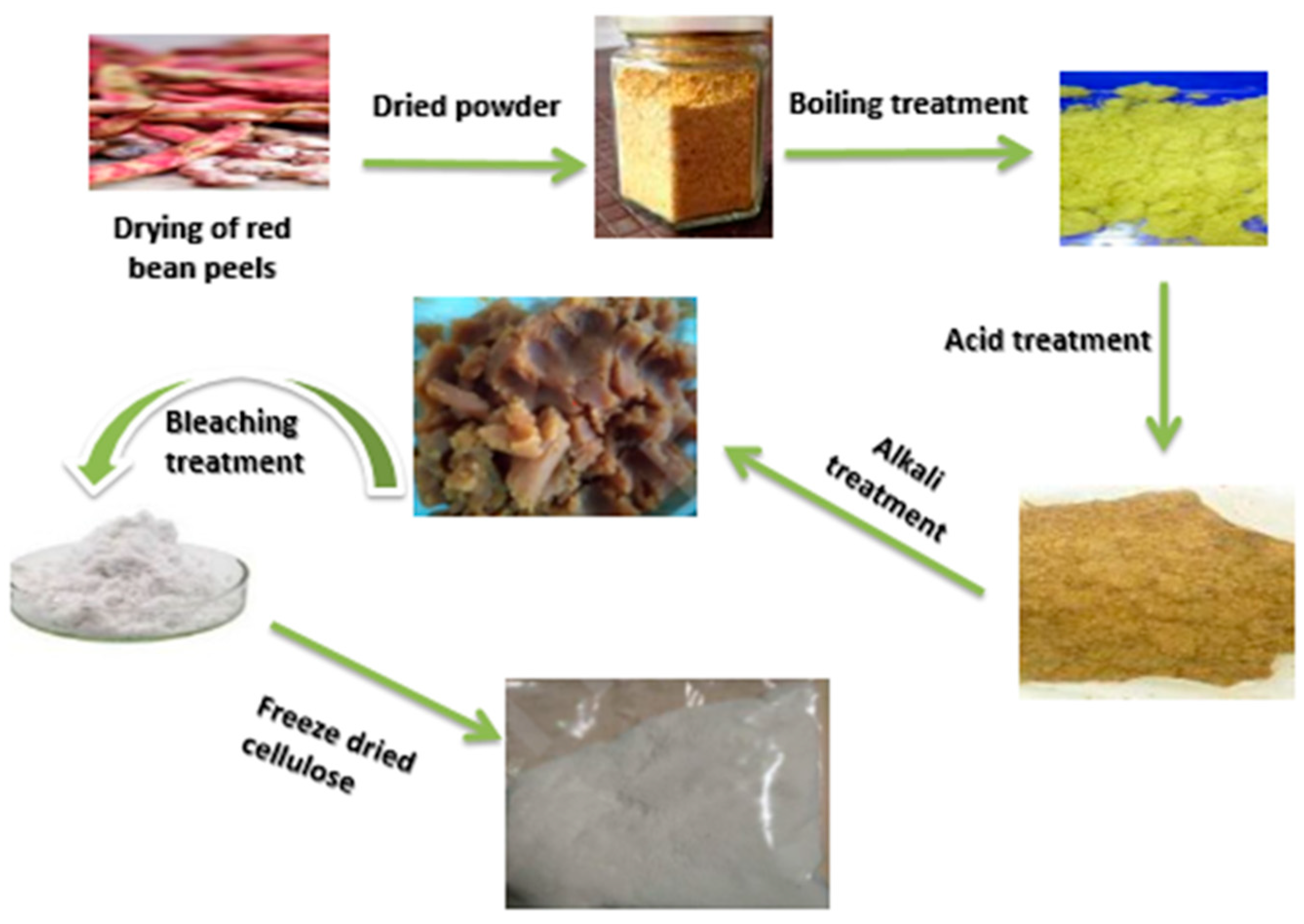 Materials 16 04082 g001