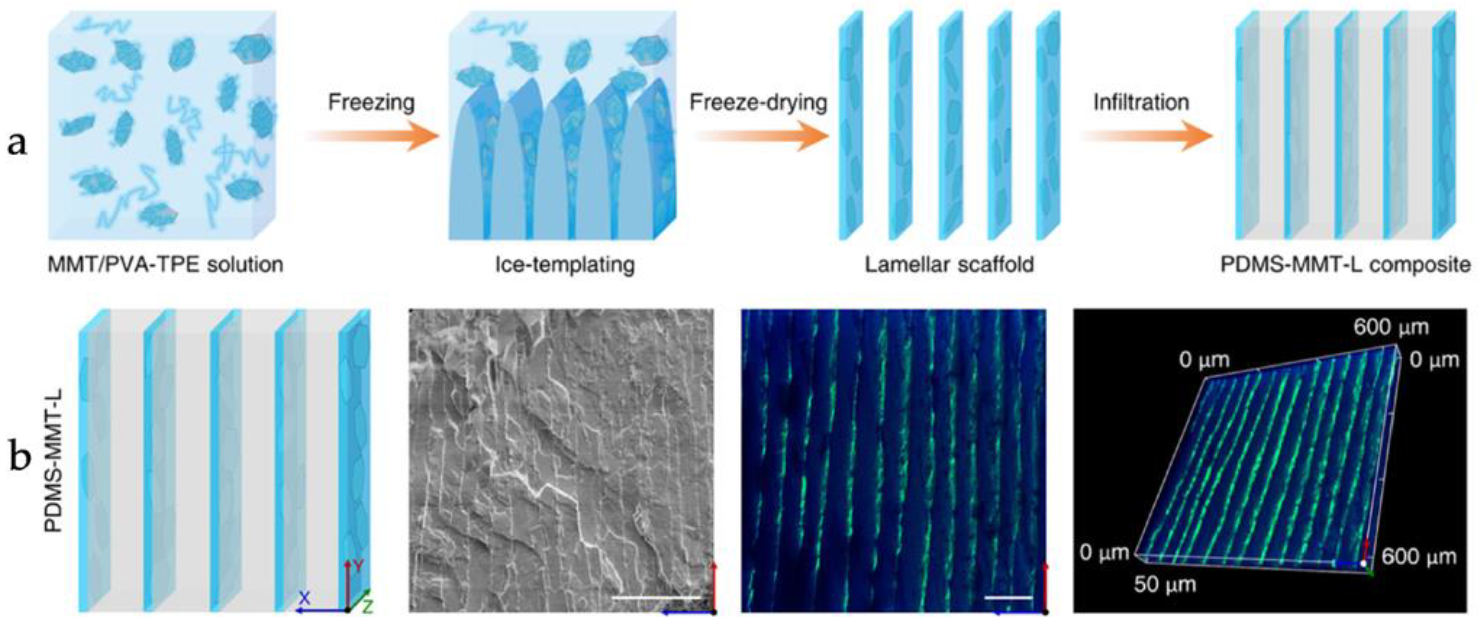 Materials 16 04094 g003