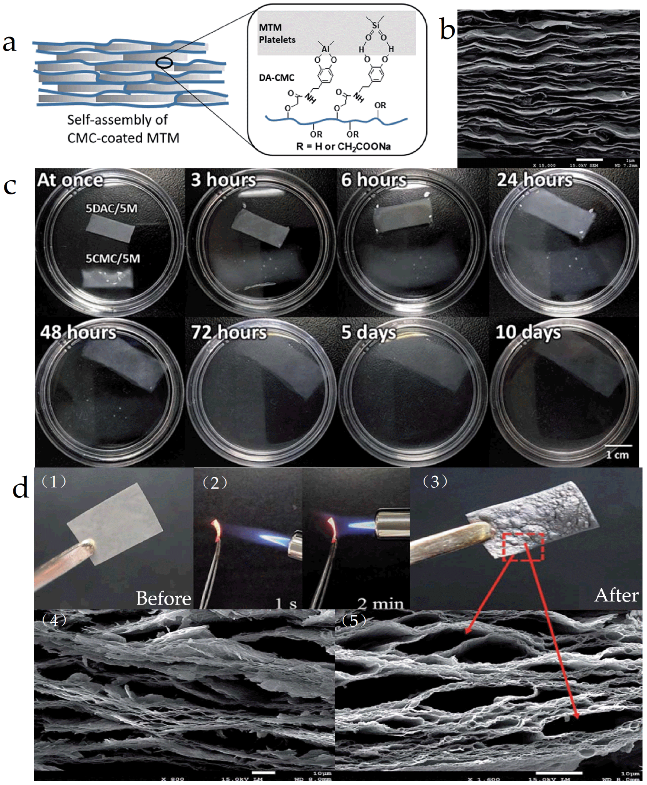 Materials 16 04094 g004