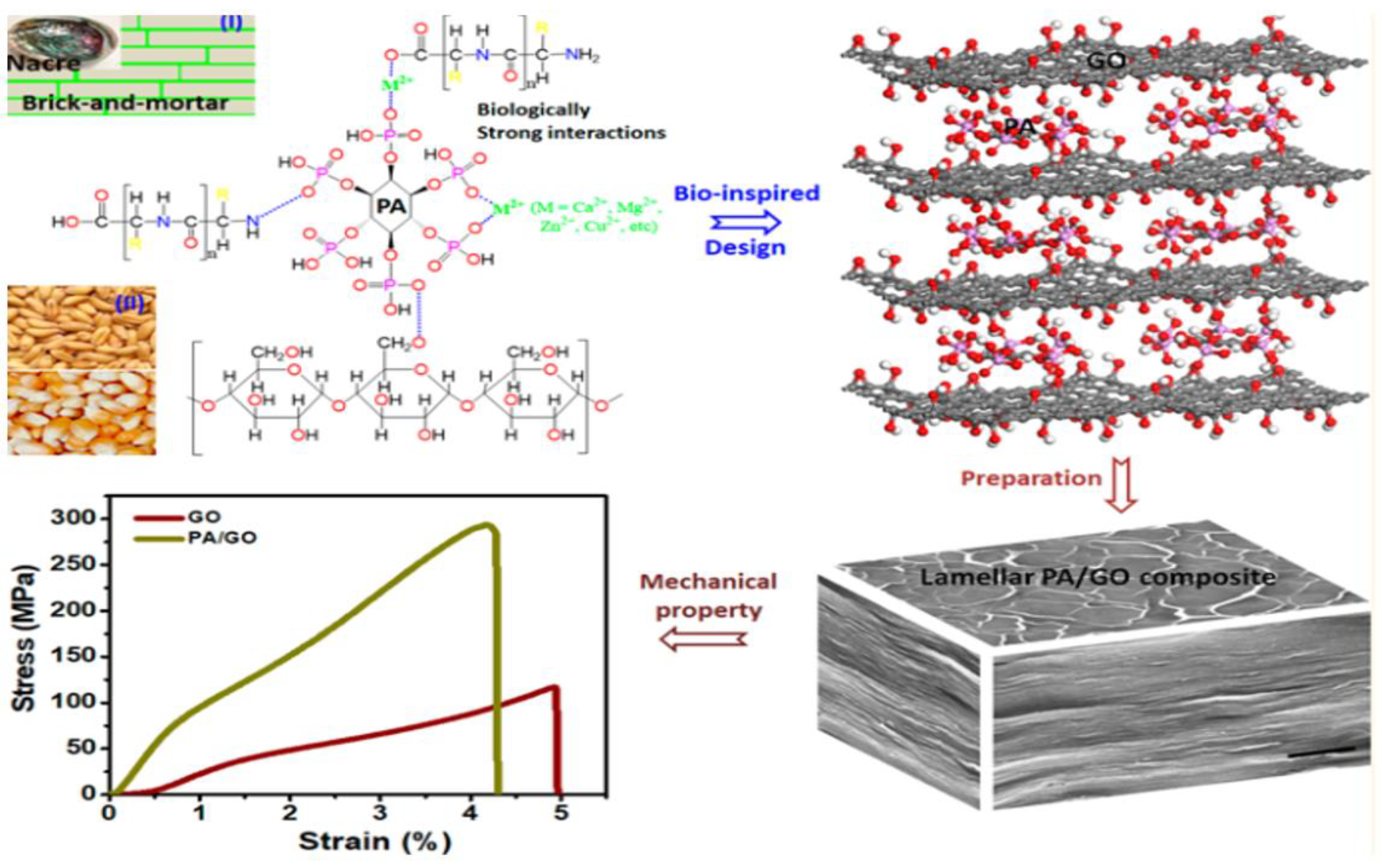Materials 16 04094 g005