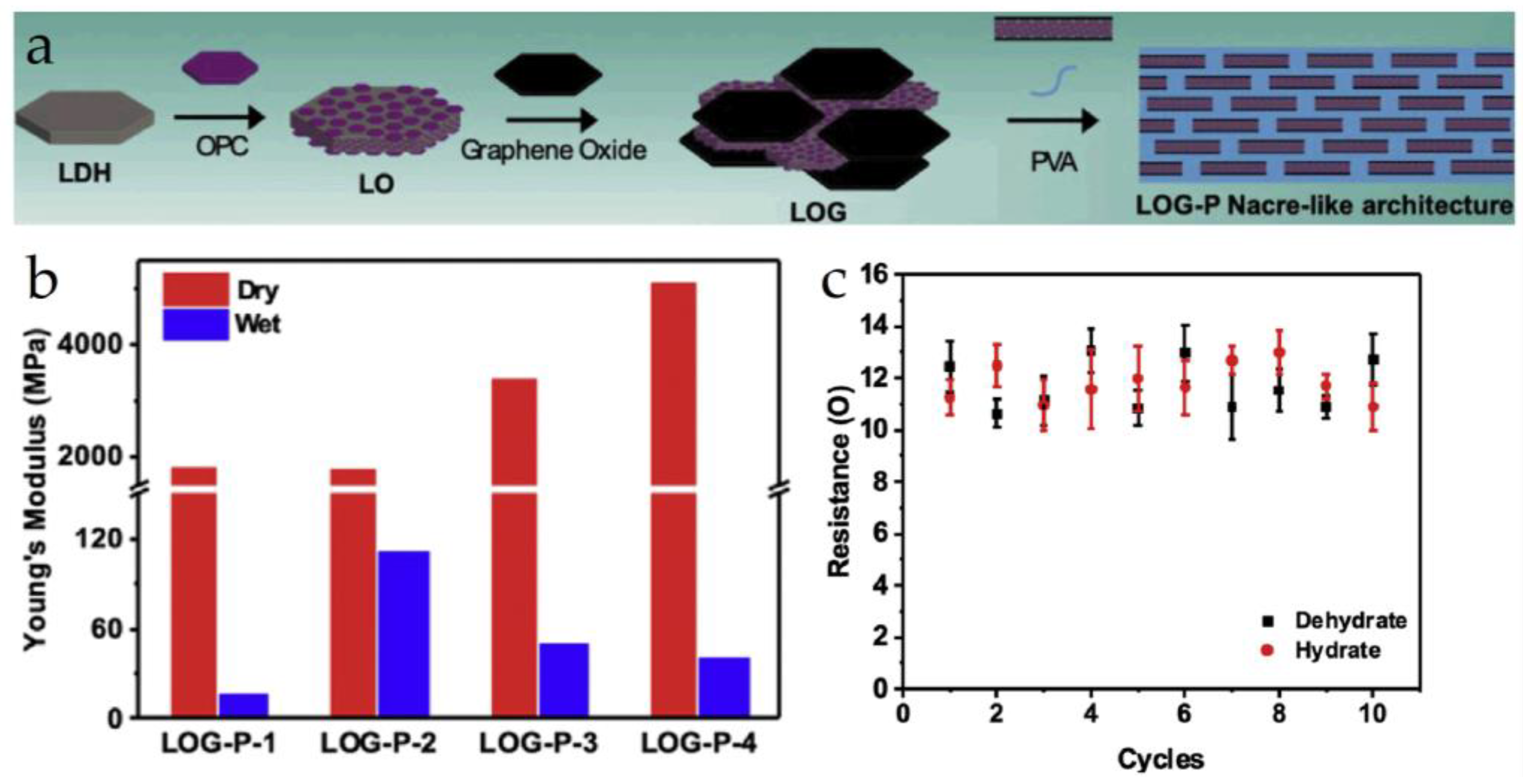 Materials 16 04094 g006