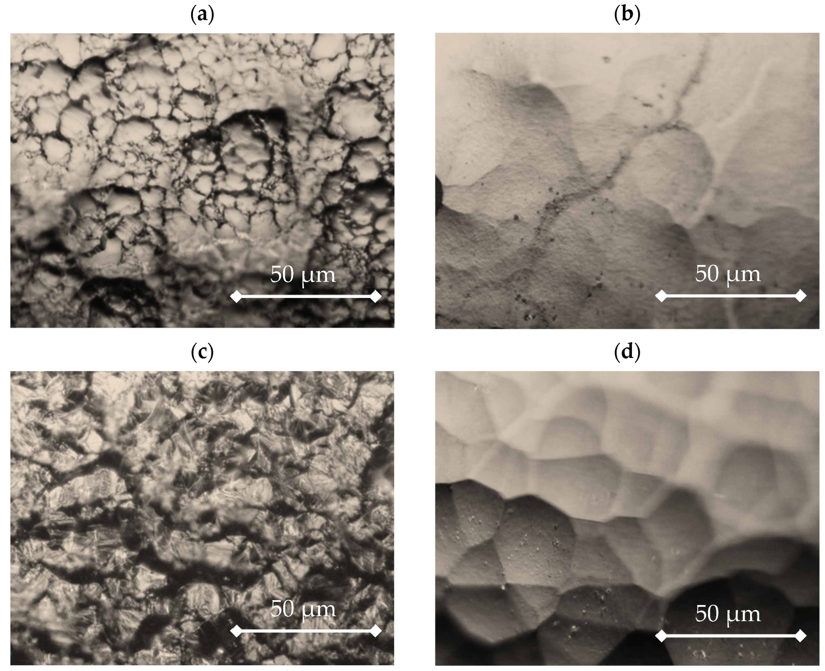 Materials 16 04101 g002