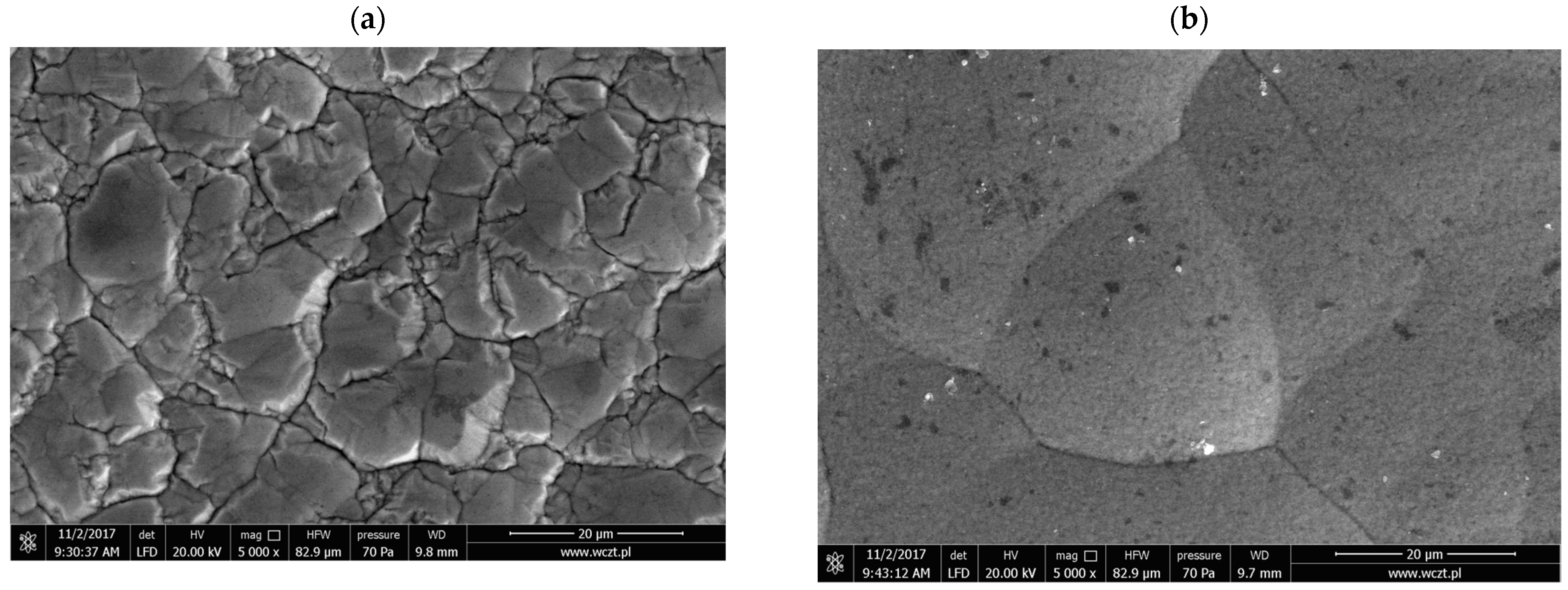 Materials 16 04101 g003a