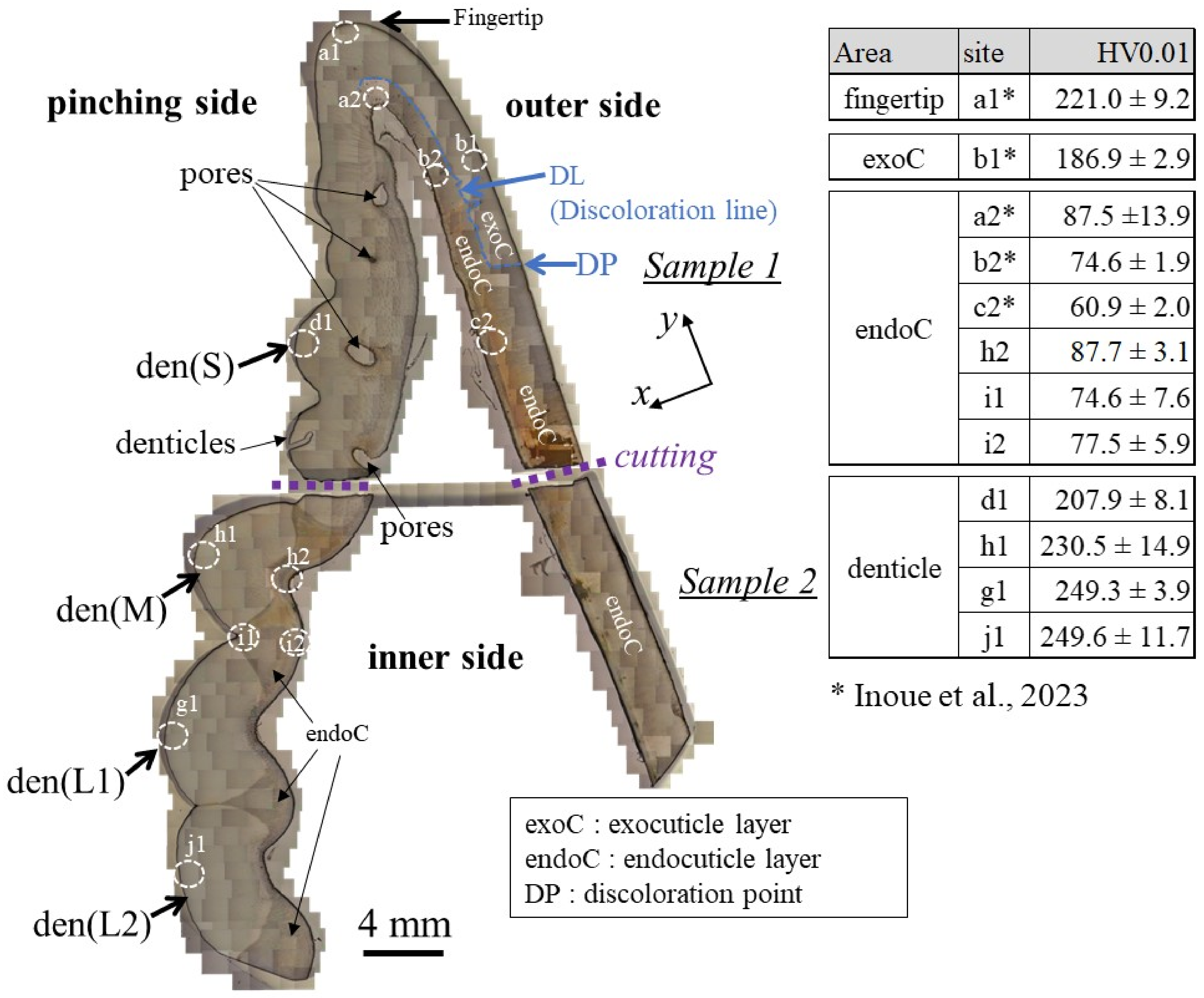 Materials 16 04114 g002 Materials 16 04114 g002