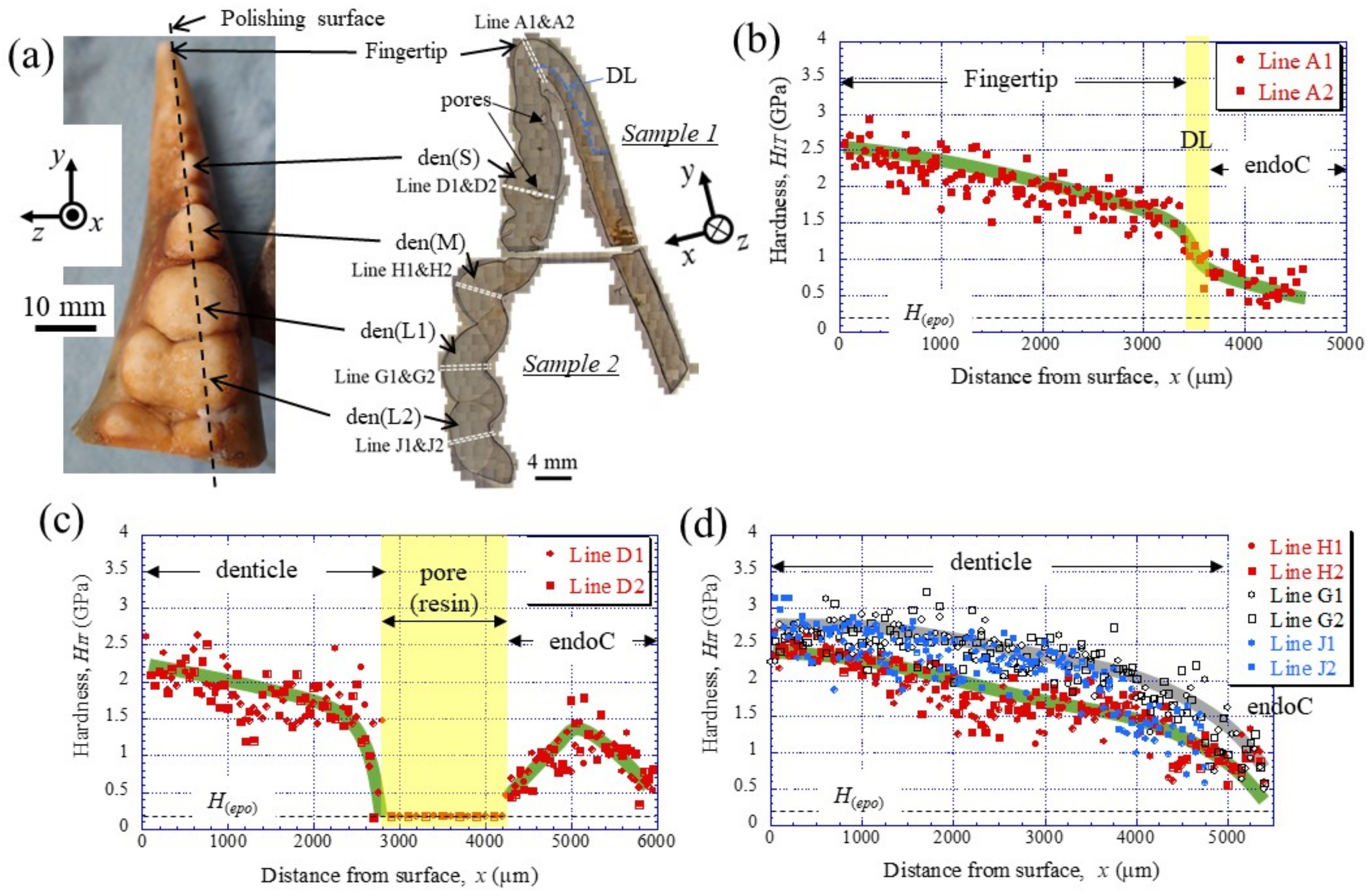 Materials 16 04114 g003 Materials 16 04114 g003