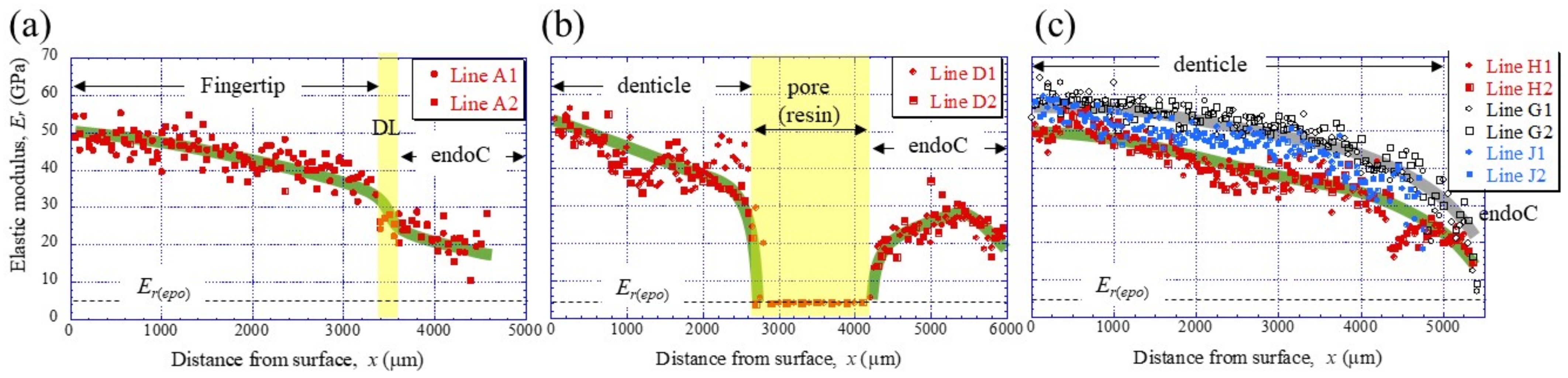 Materials 16 04114 g004 Materials 16 04114 g004