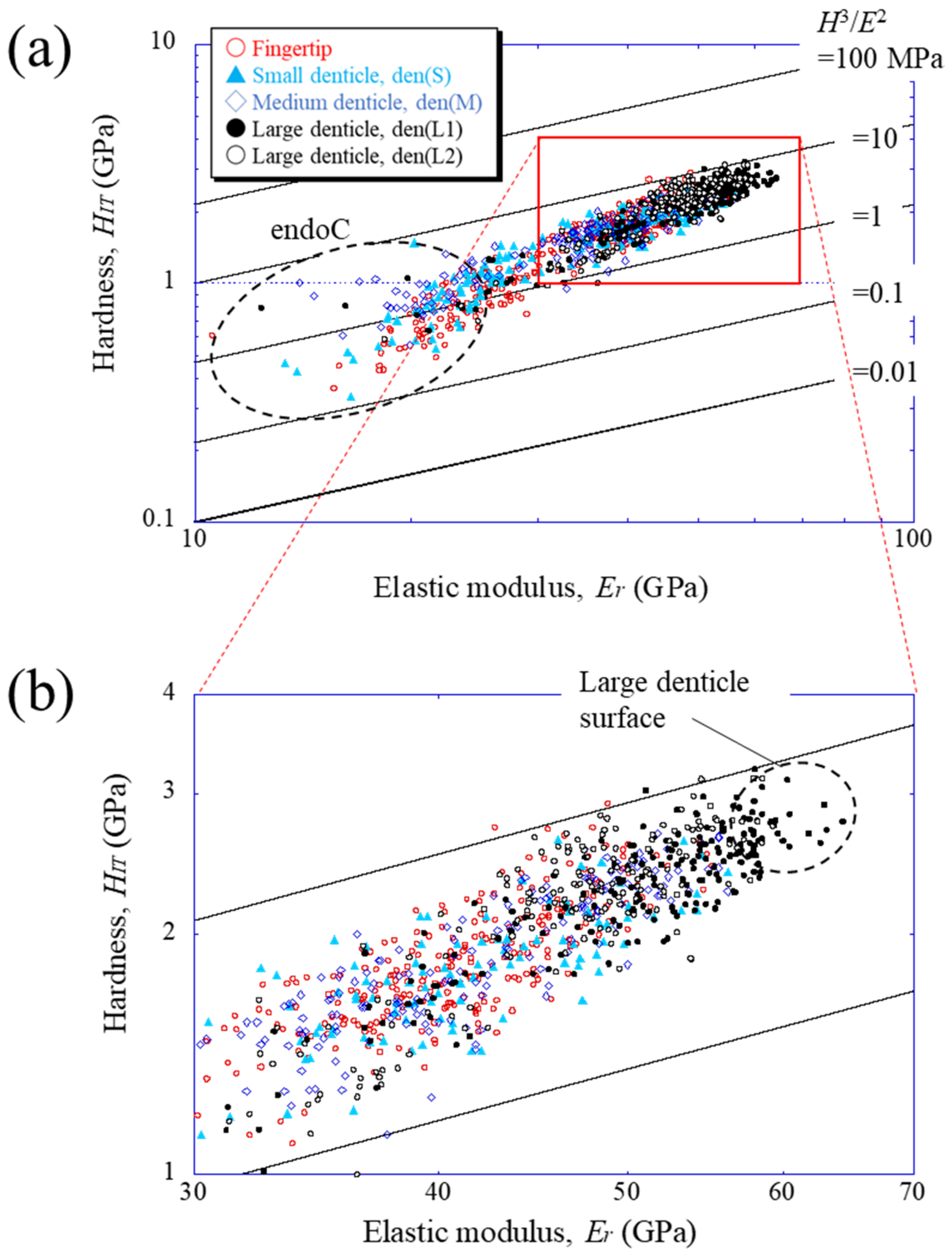 Materials 16 04114 g005 Materials 16 04114 g005