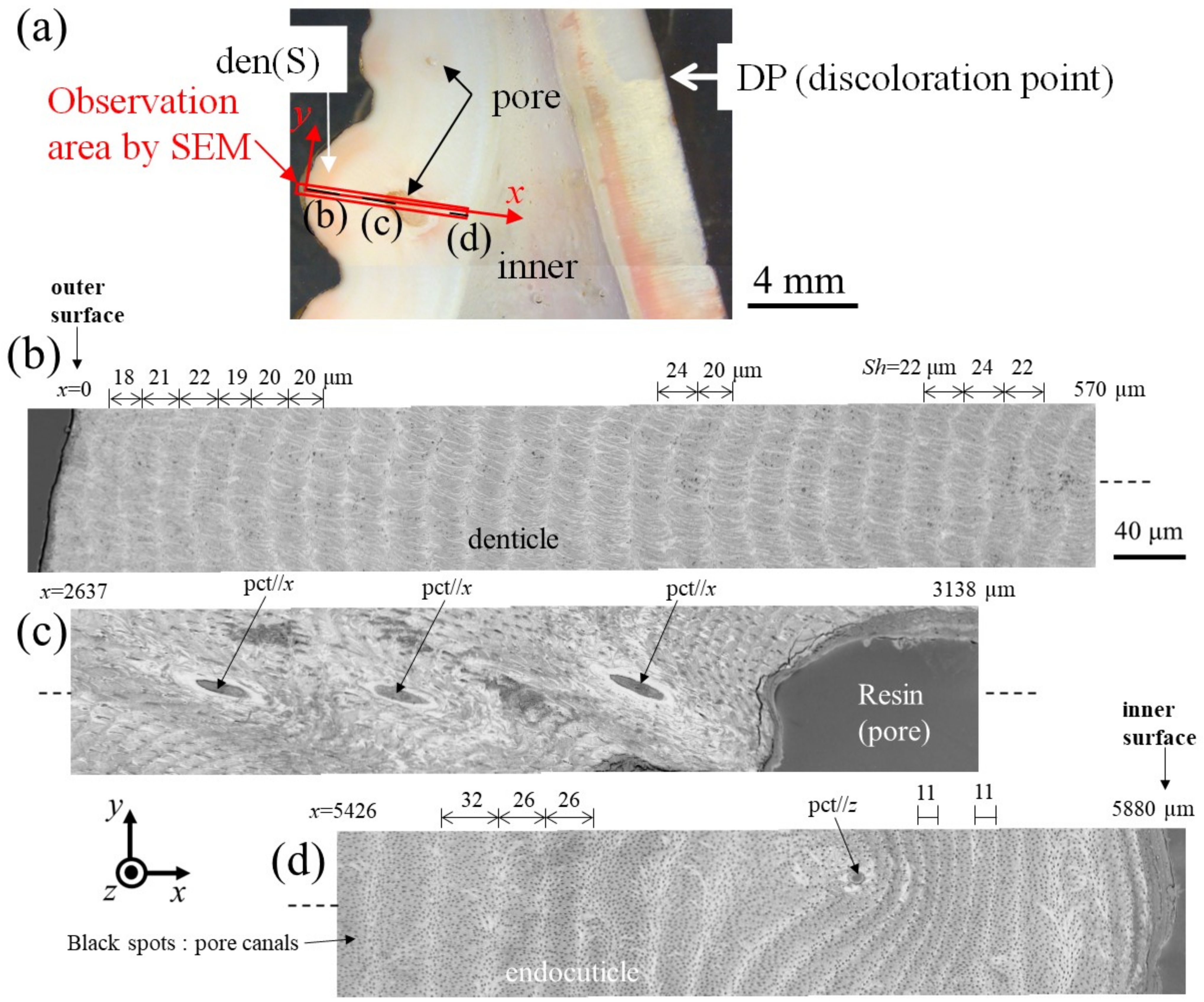 Materials 16 04114 g006 Materials 16 04114 g006