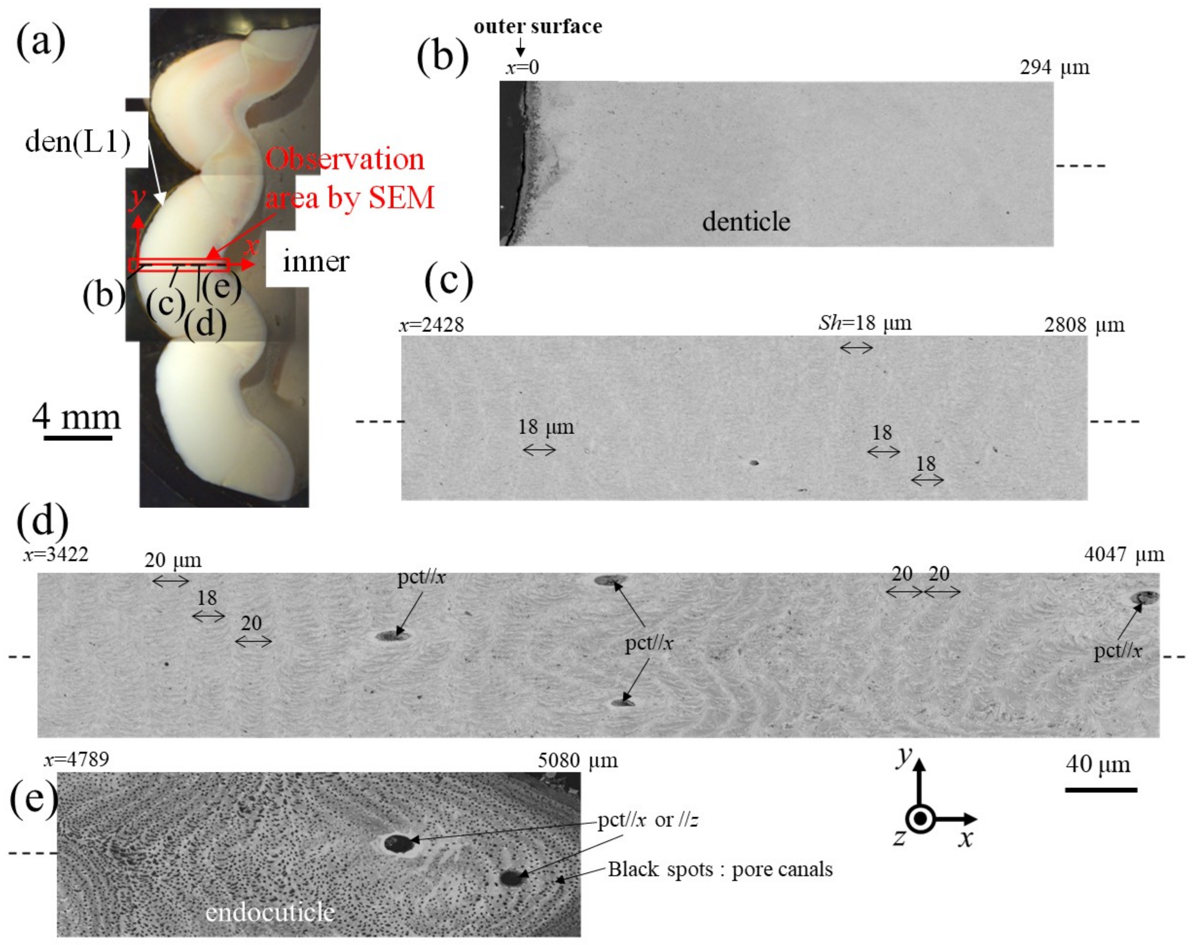 Materials 16 04114 g007 Materials 16 04114 g007