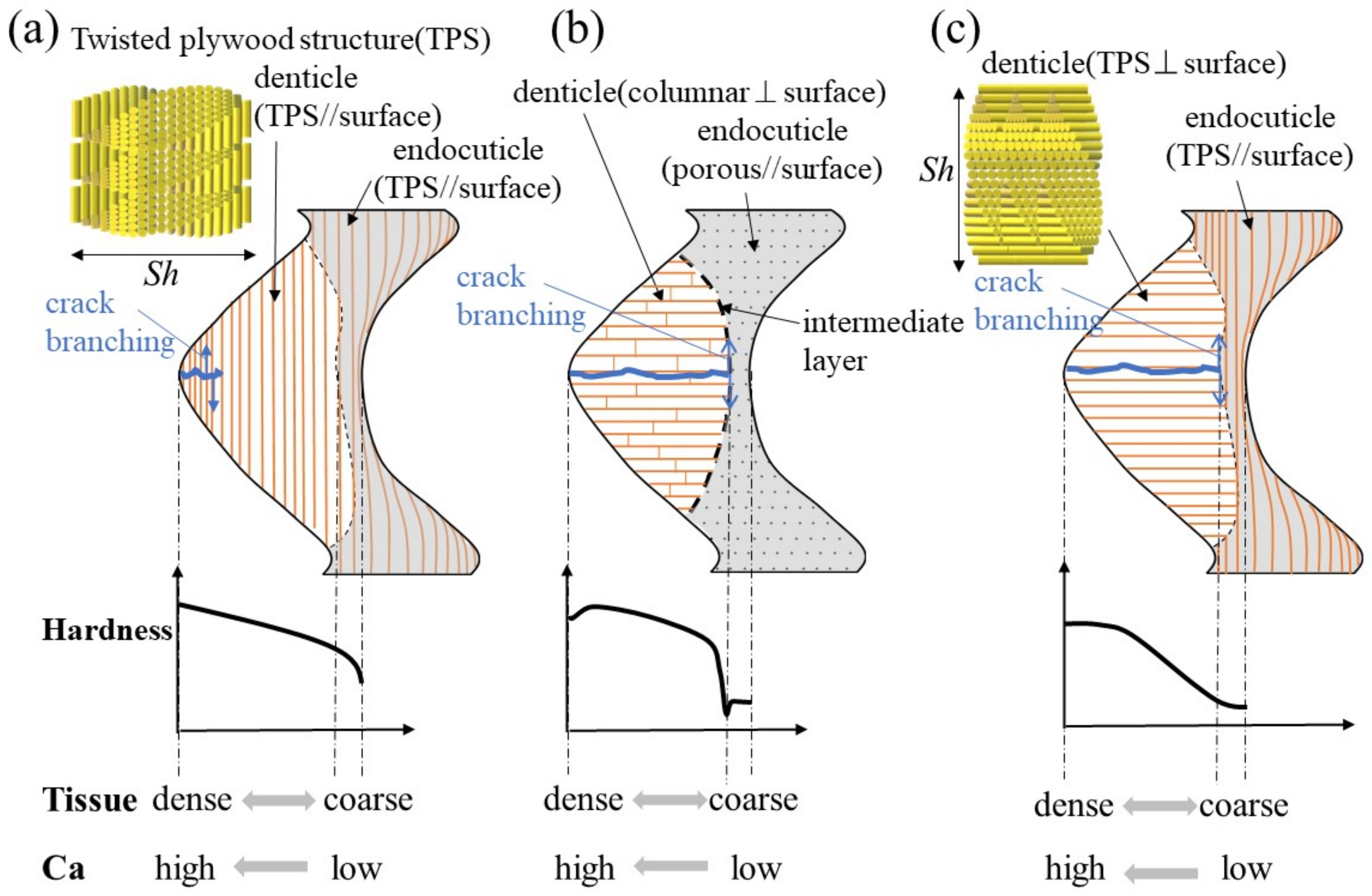Materials 16 04114 g008 Materials 16 04114 g008