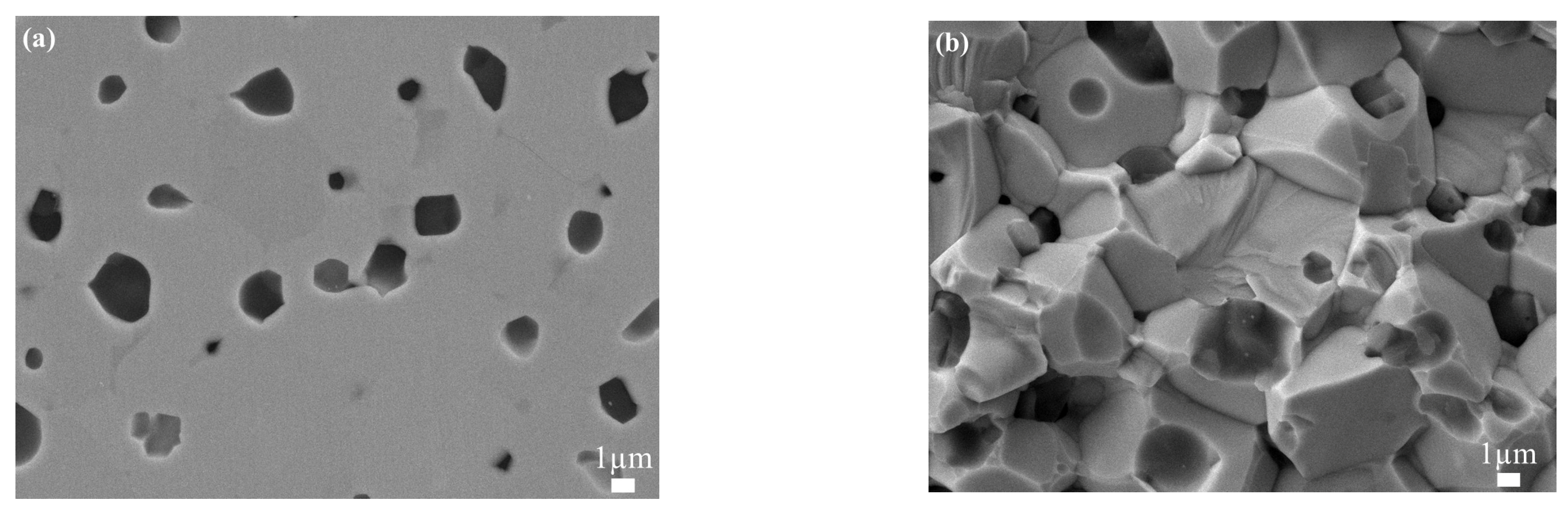 Materials 16 04115 g004 Materials 16 04115 g004