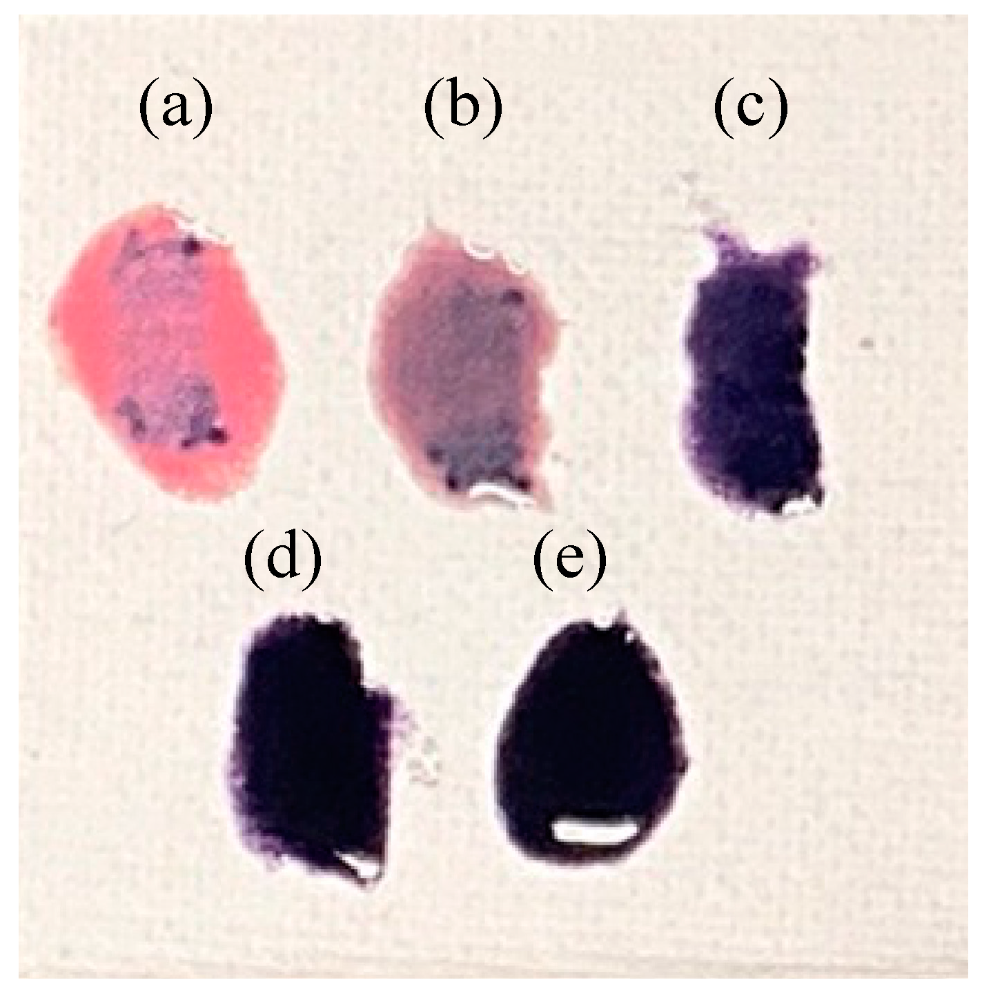 Materials 16 04132 g007