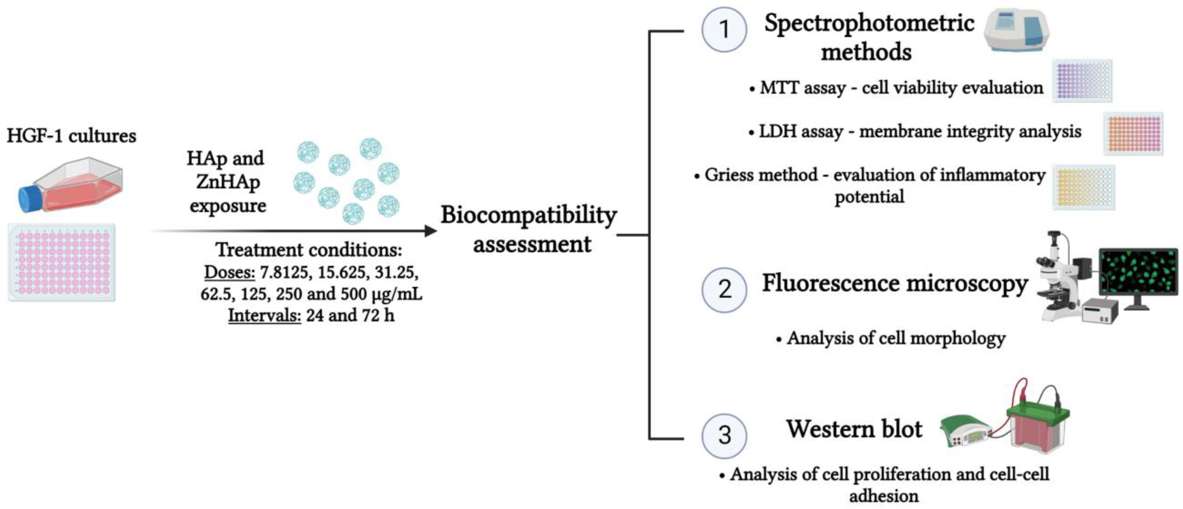 Materials 16 04145 g001