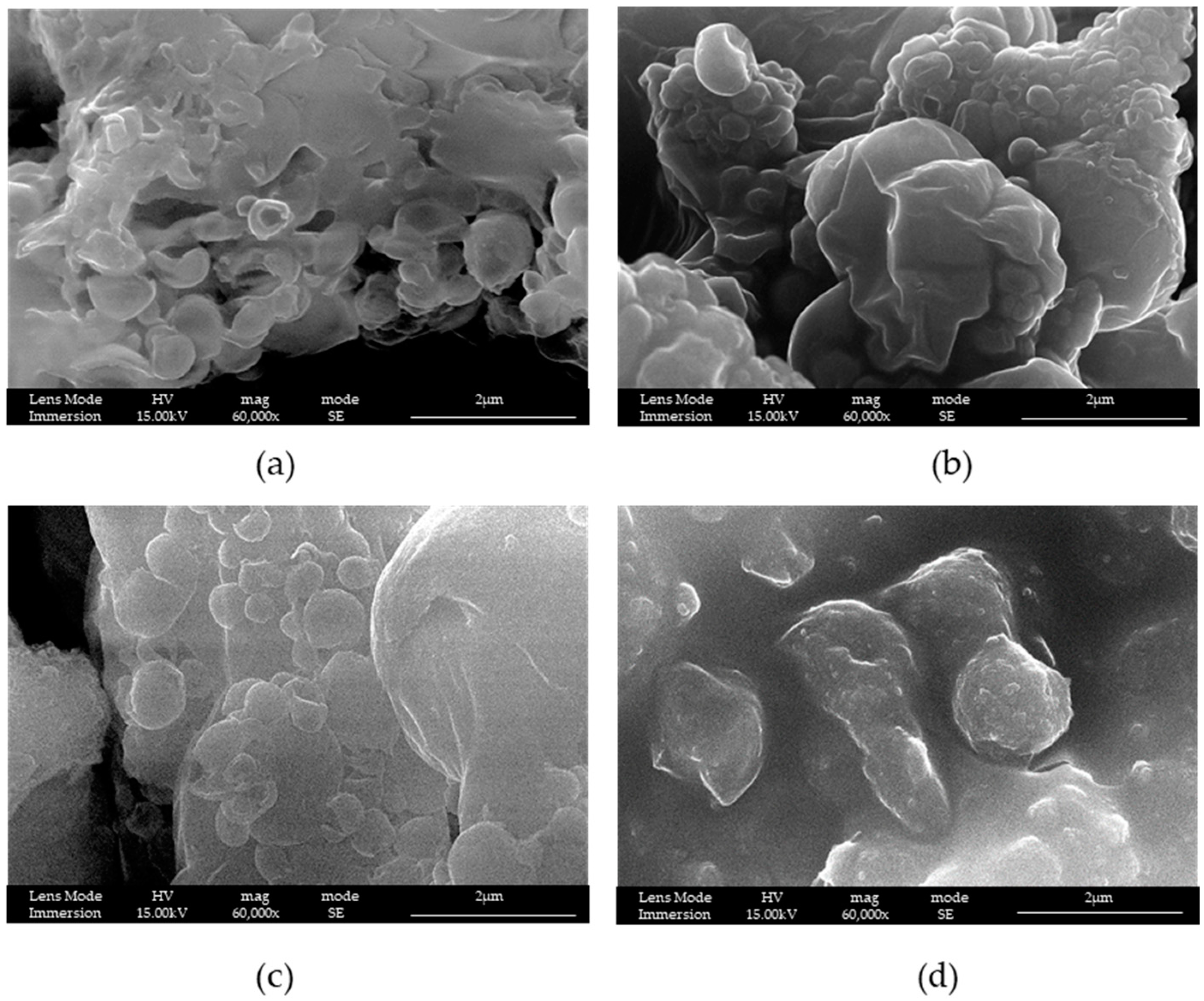 Materials 16 04151 g002