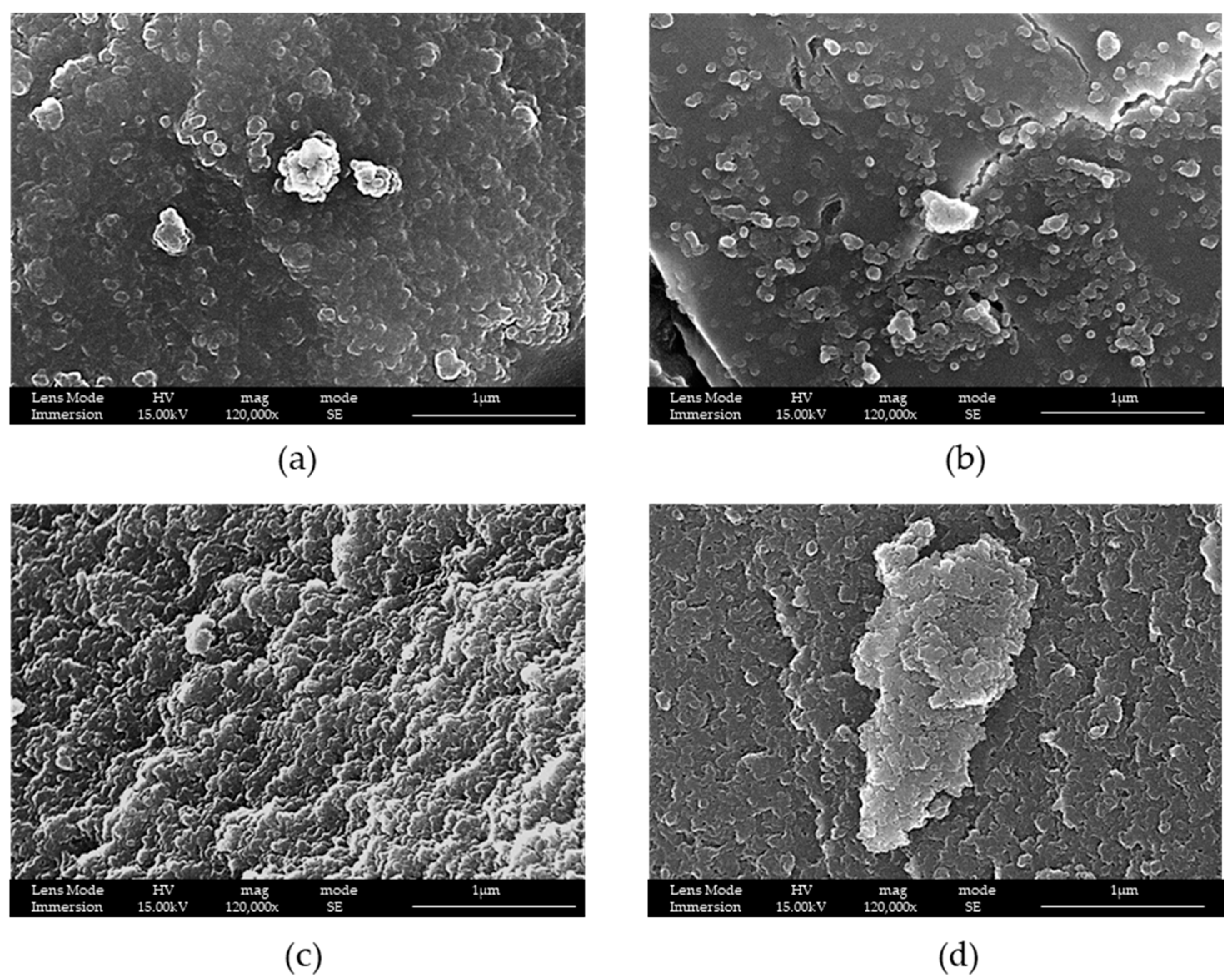 Materials 16 04151 g003