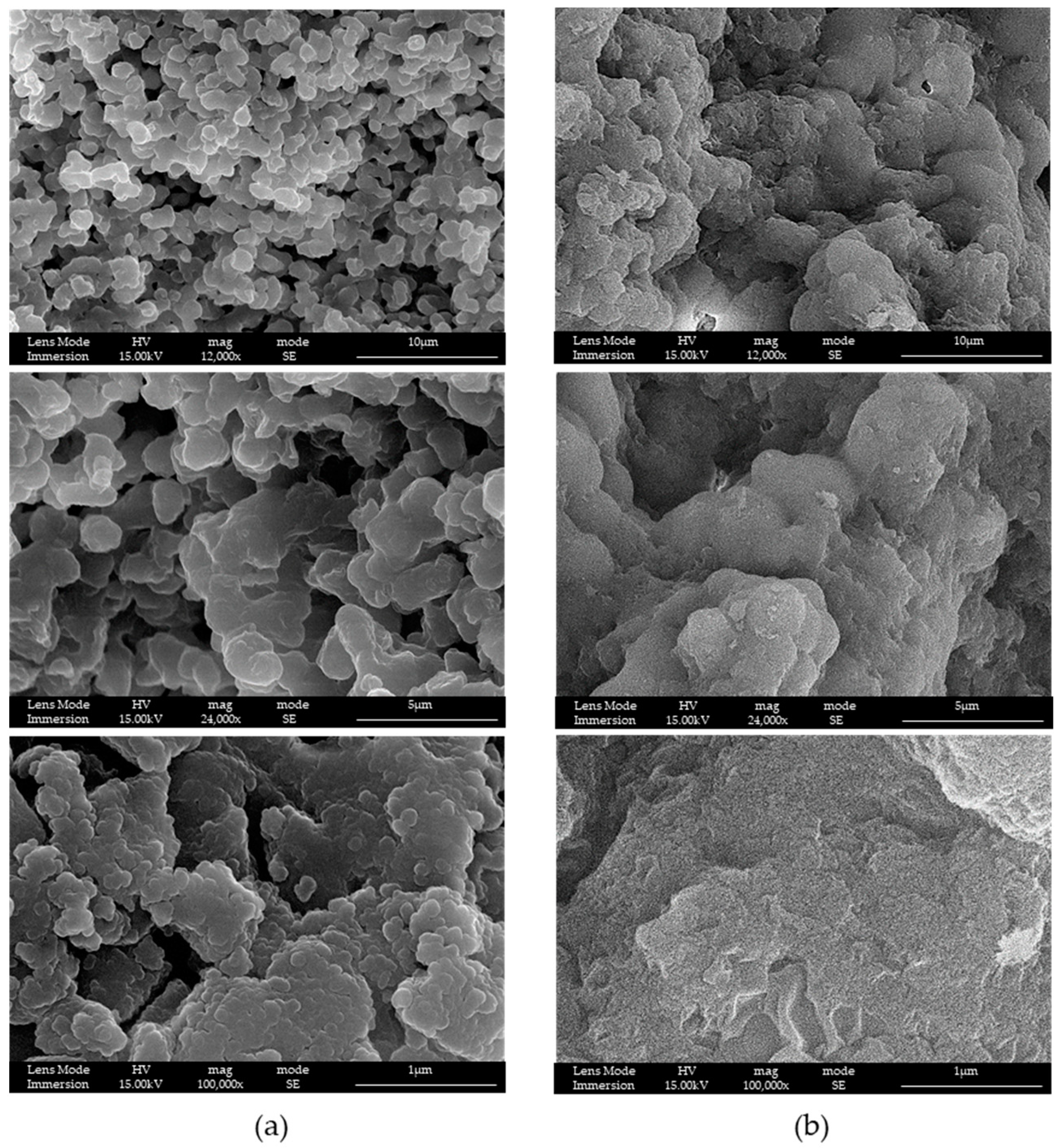 Materials 16 04151 g005