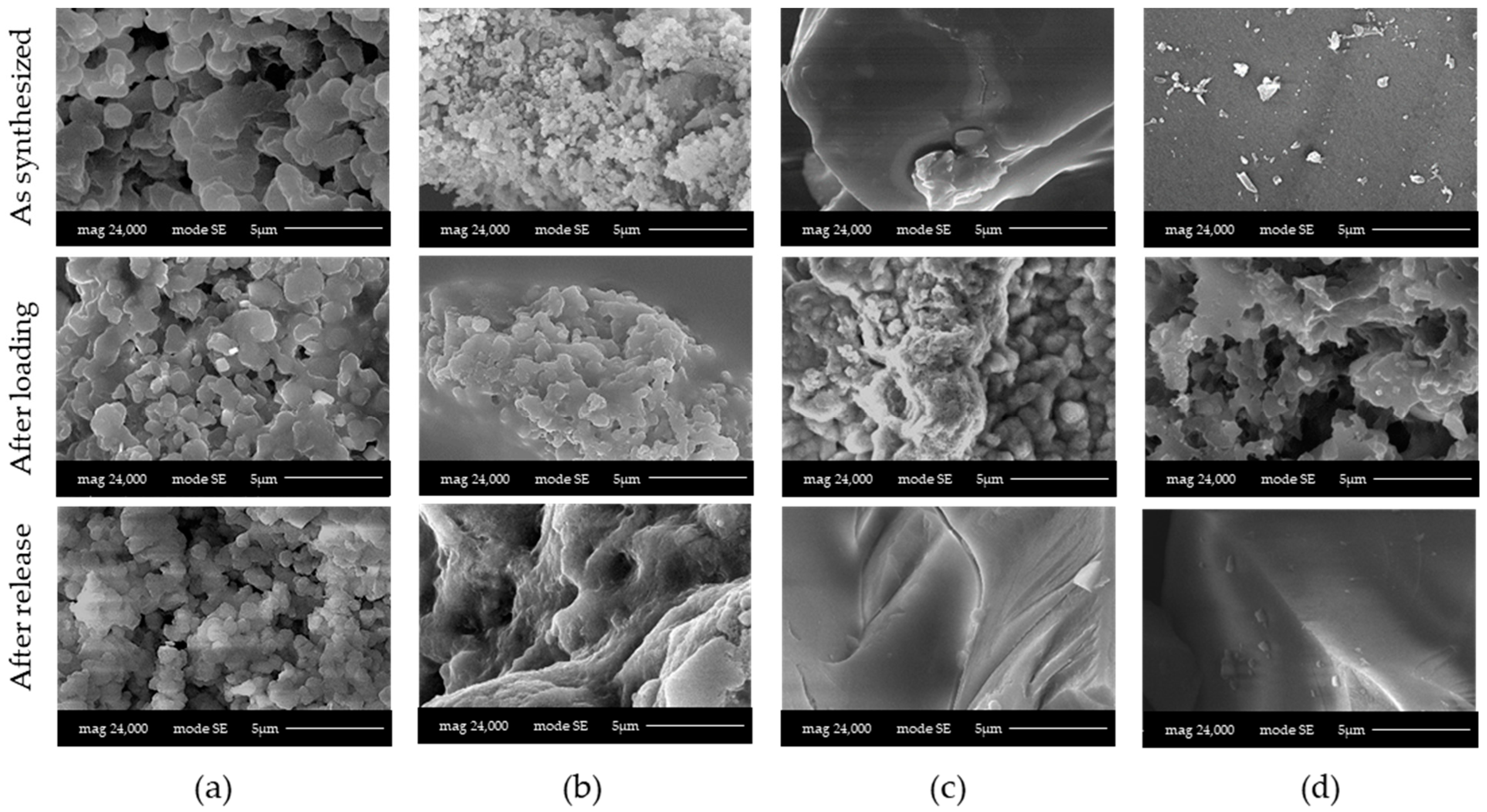 Materials 16 04151 g017