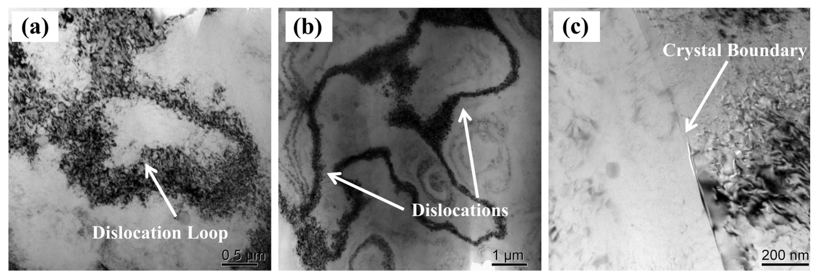 Materials 16 04154 g013