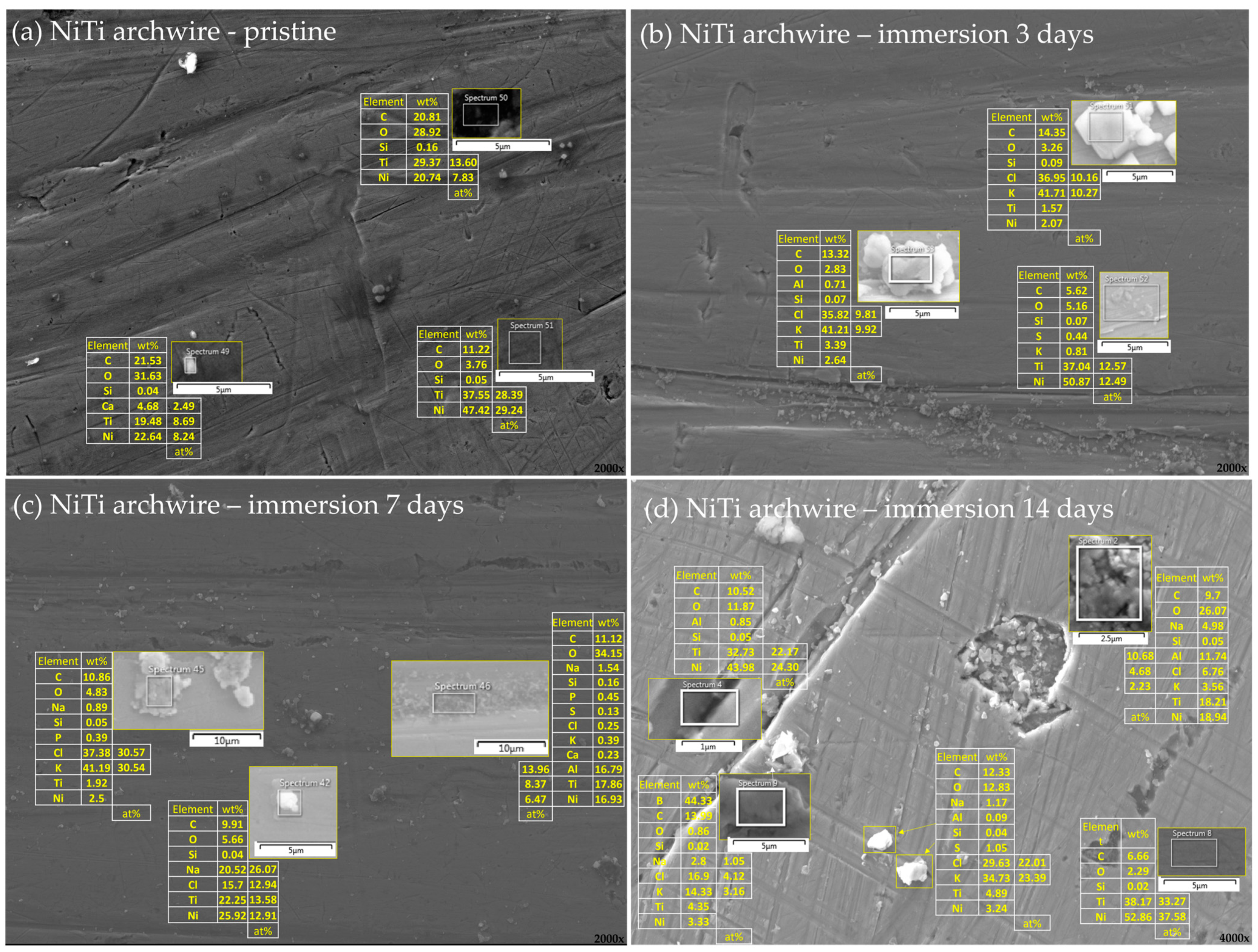 Materials 16 04156 g005