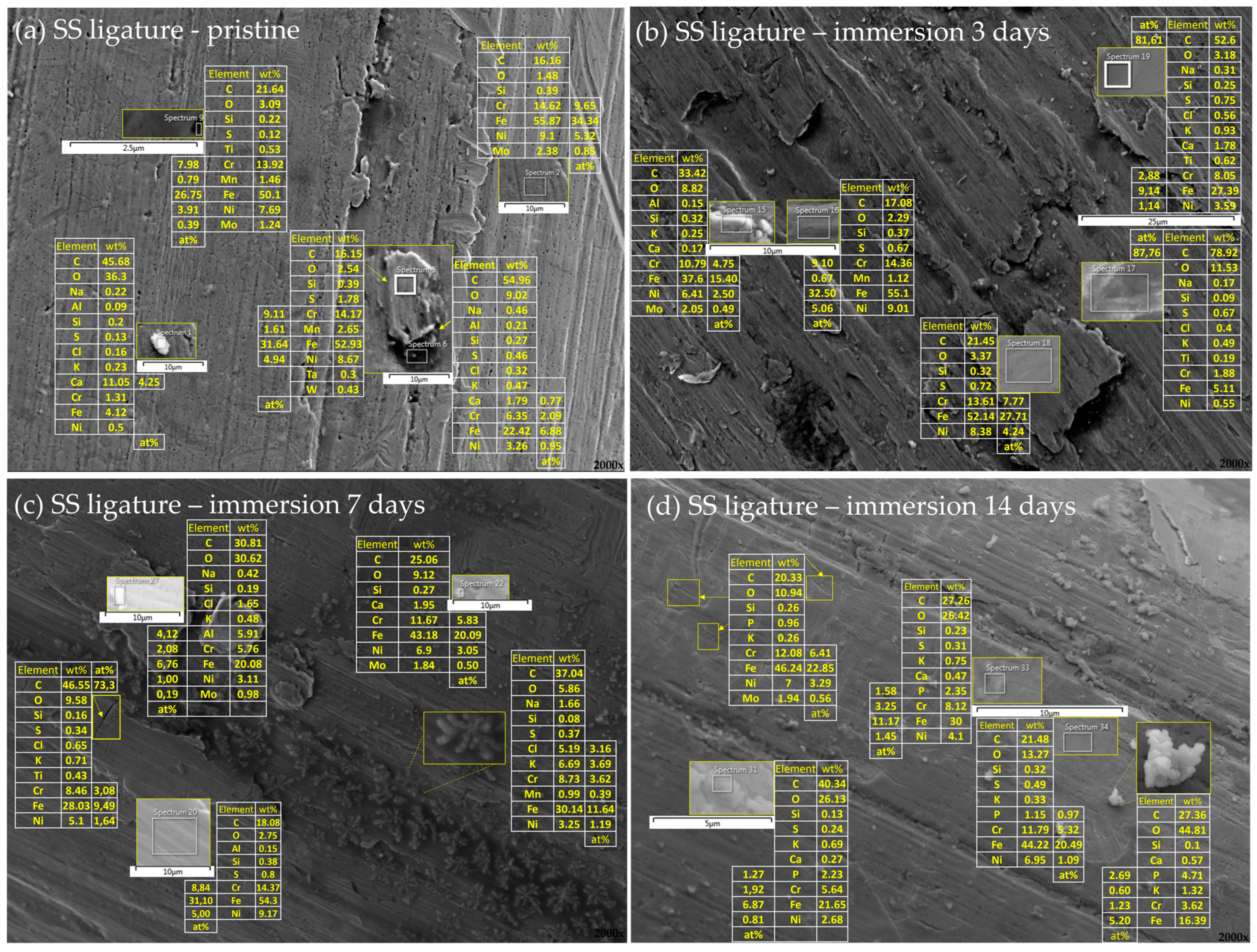 Materials 16 04156 g008