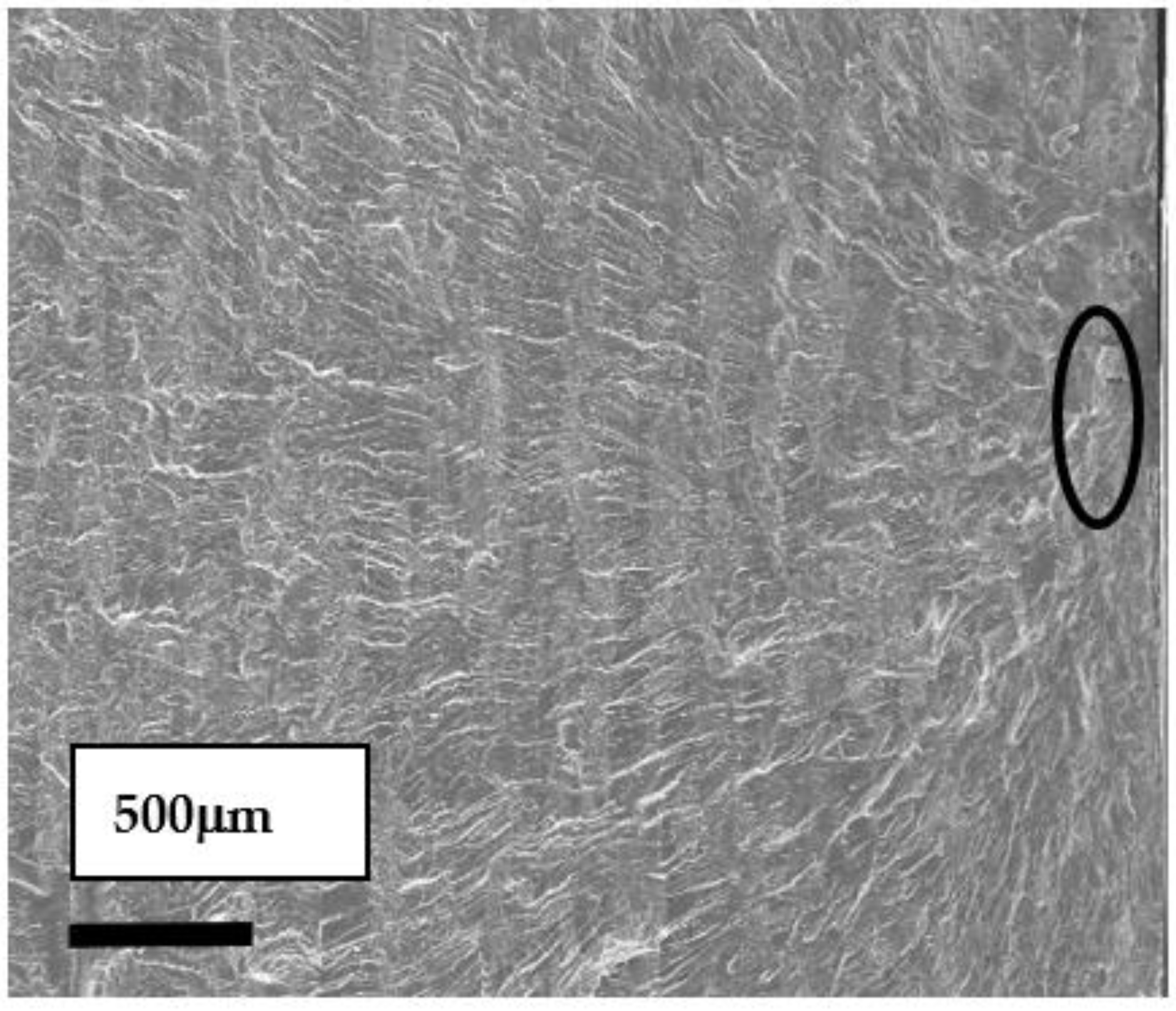 Materials 16 04161 g004 Materials 16 04161 g004