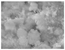 Materials 16 04168 i001