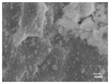 Materials 16 04168 i003