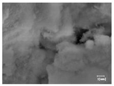 Materials 16 04168 i004