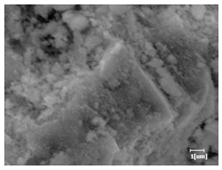 Materials 16 04168 i006