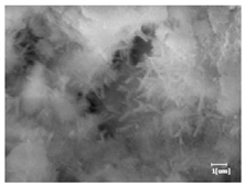 Materials 16 04168 i007