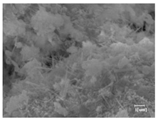 Materials 16 04168 i009