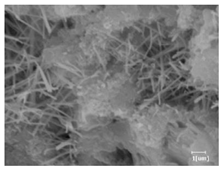 Materials 16 04168 i014