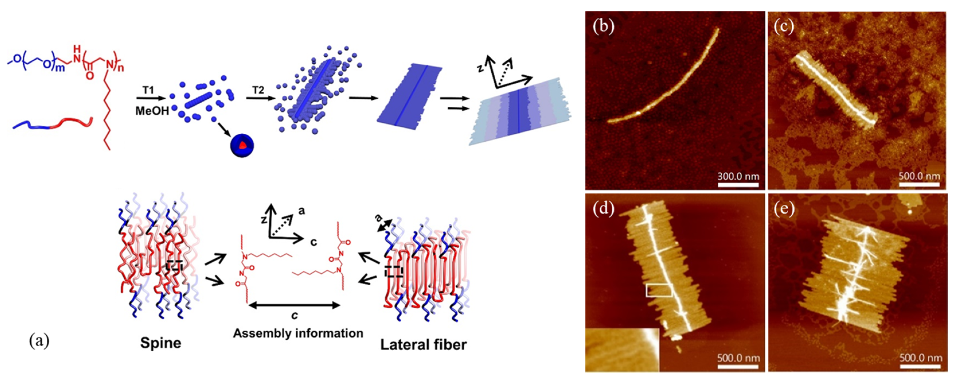 Materials 16 04175 g003 Materials 16 04175 g003