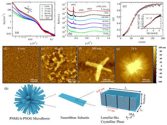 Pnmg Recent Experimental Advances in Characterizing the Self-Assembly and ...