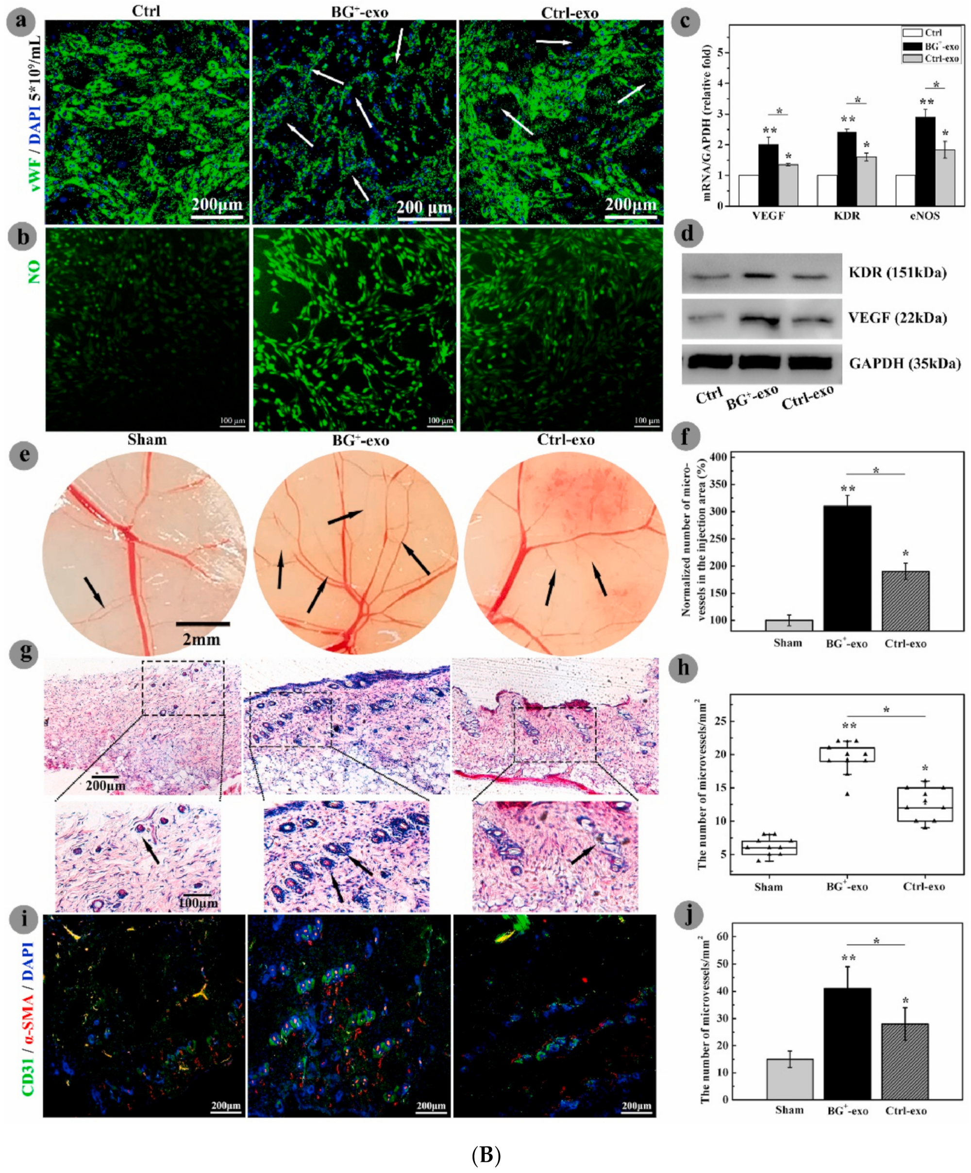 Materials 16 04194 g002b Materials 16 04194 g002b