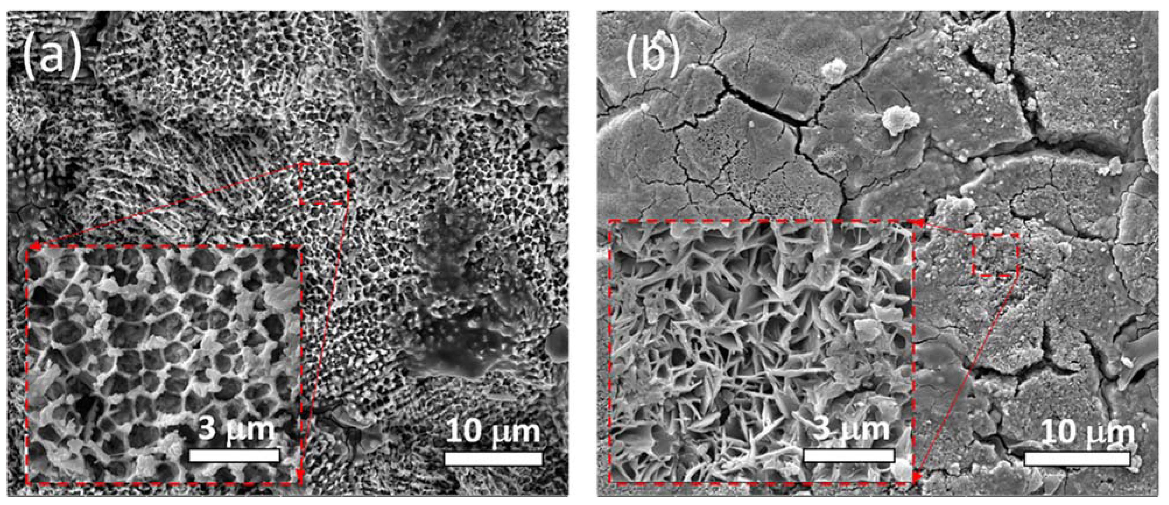 Materials 16 04198 g013 Materials 16 04198 g013