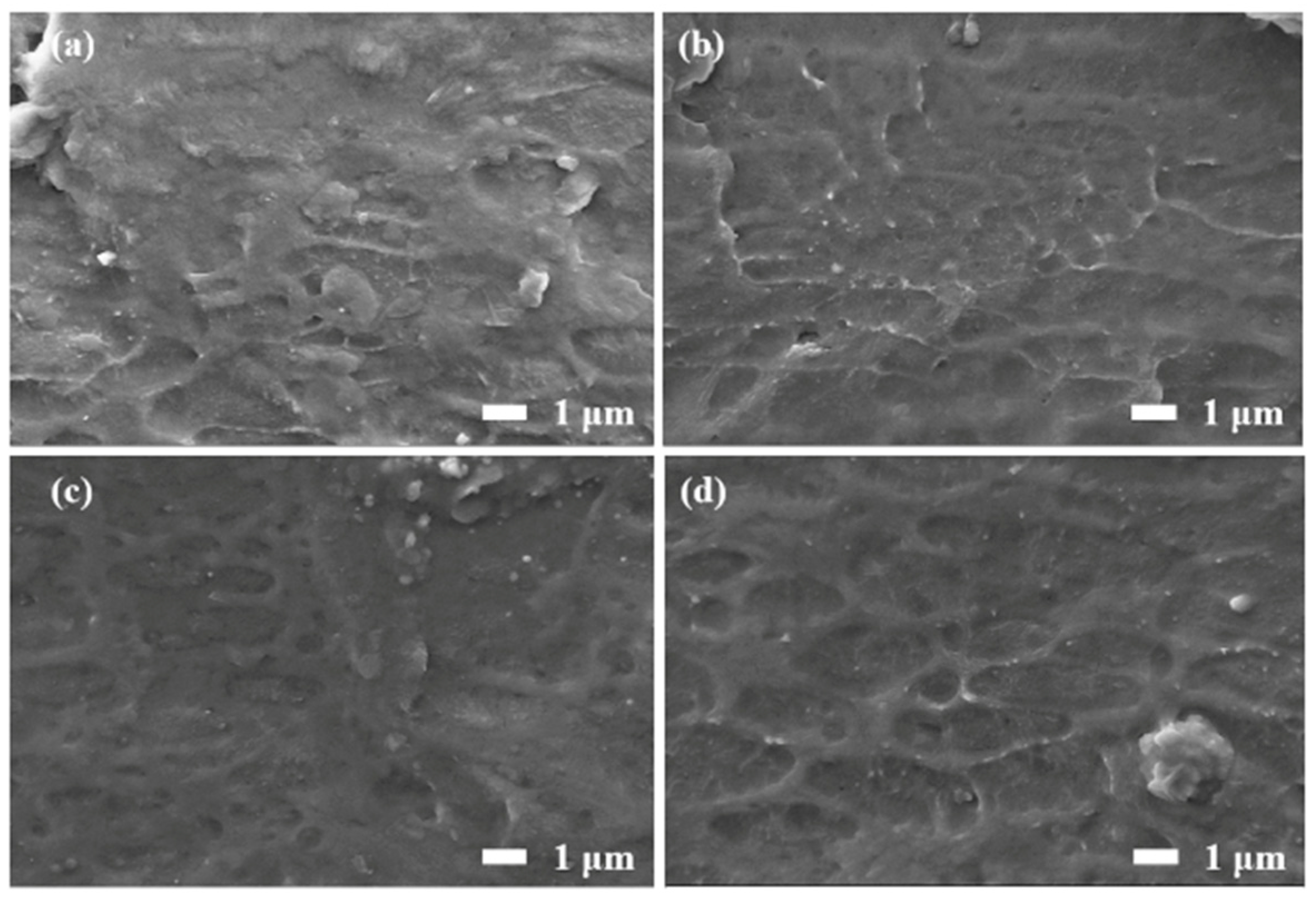 Materials 16 04201 g003 Materials 16 04201 g003