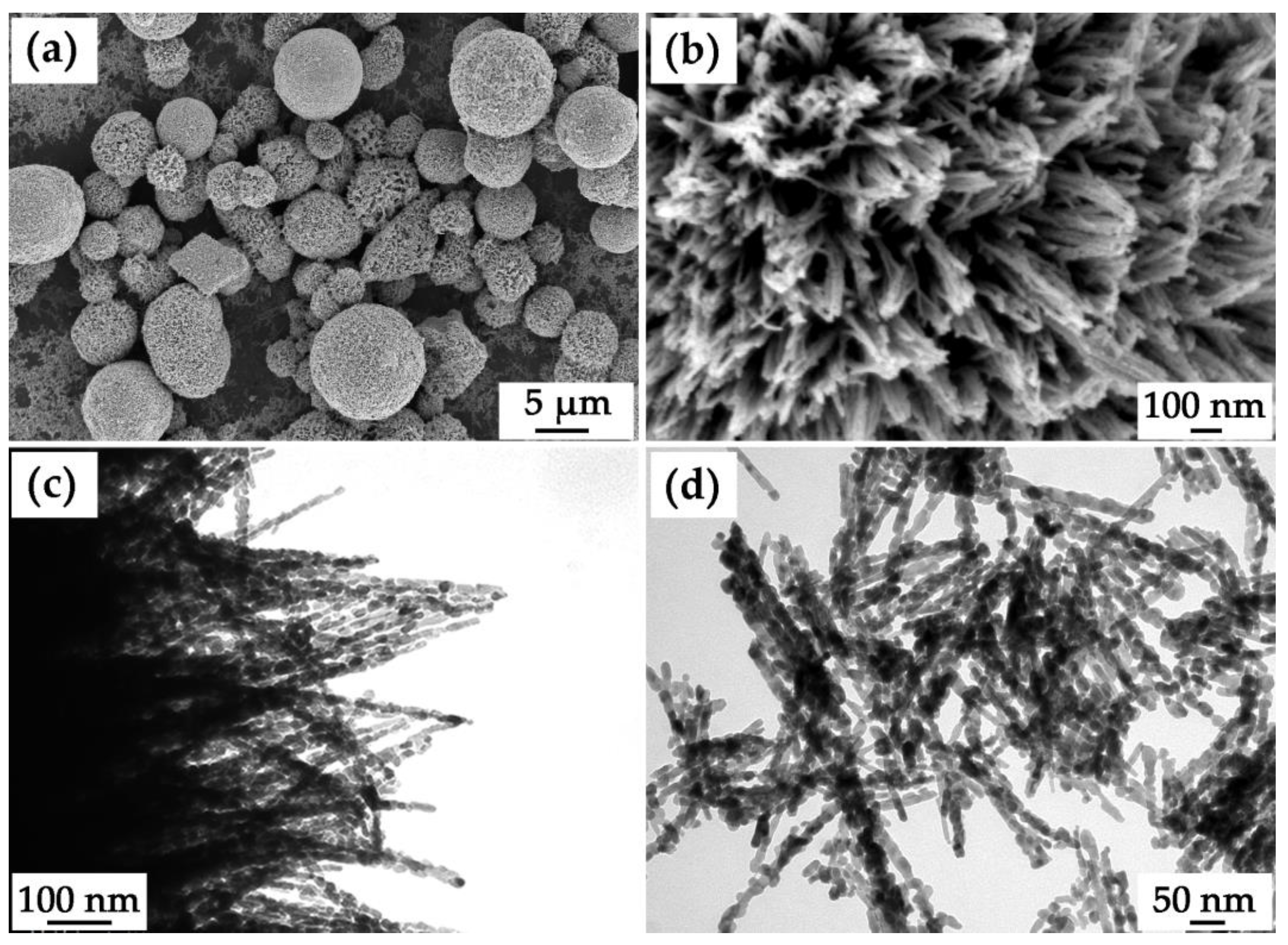 Materials 16 04202 g005