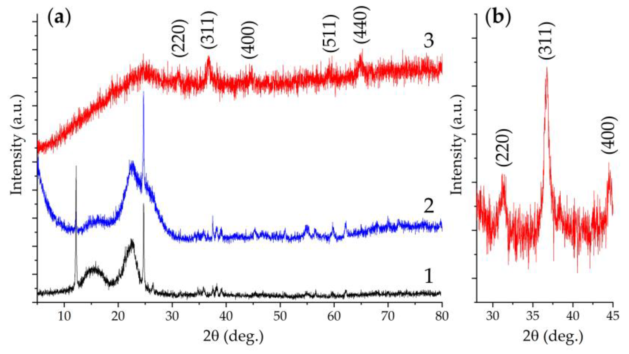 Materials 16 04202 g007