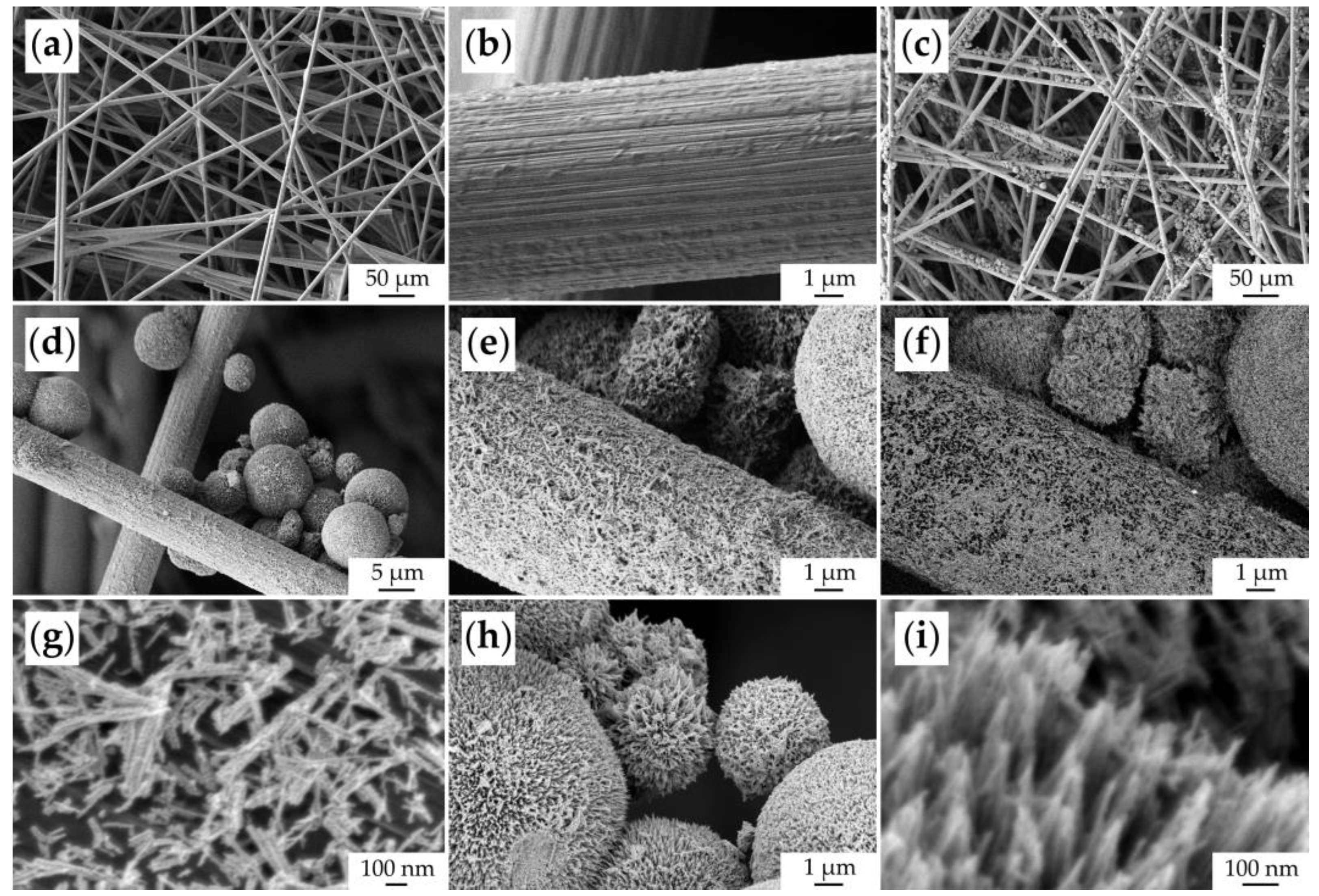 Materials 16 04202 g008